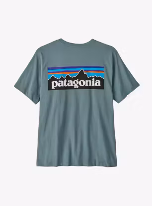 PatagoniaP_6LogoT_Shirt_bluesage_fw26_199346197922_1_441.webp