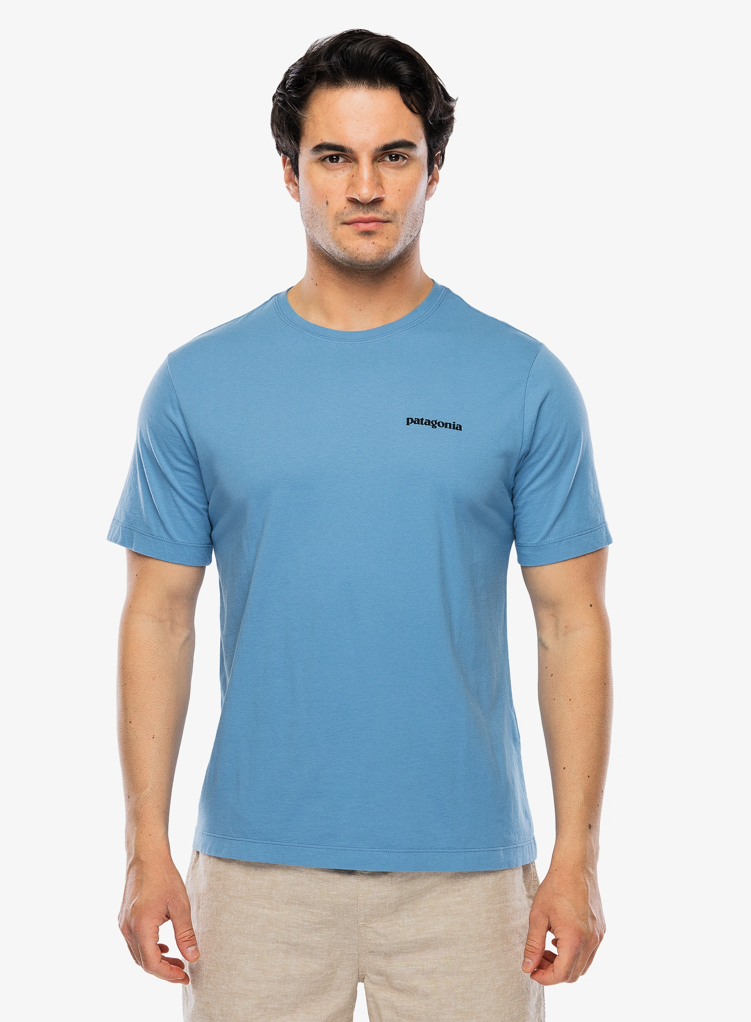 PatagoniaP_6LogoT_Shirtshoreblue198077794288g.webp