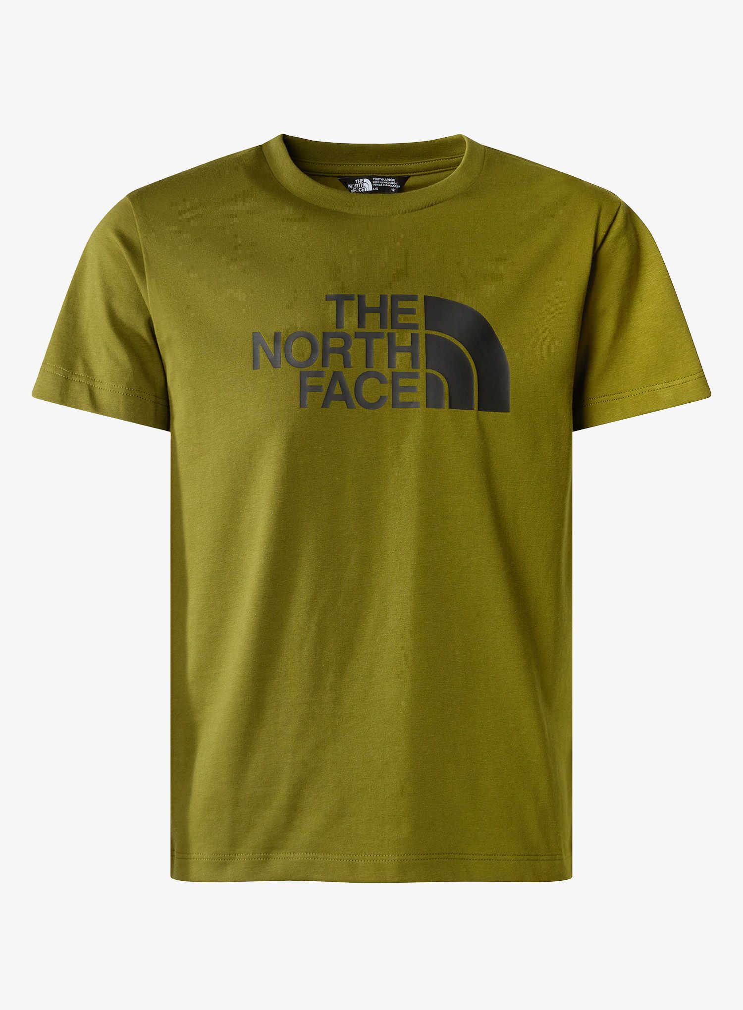 TheNorthFaceSSEasyTee_forestolive_196575461954a.jpg
