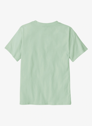 Shirt Kinder Patagonia P-6 Logo T-Shirt - thin ice