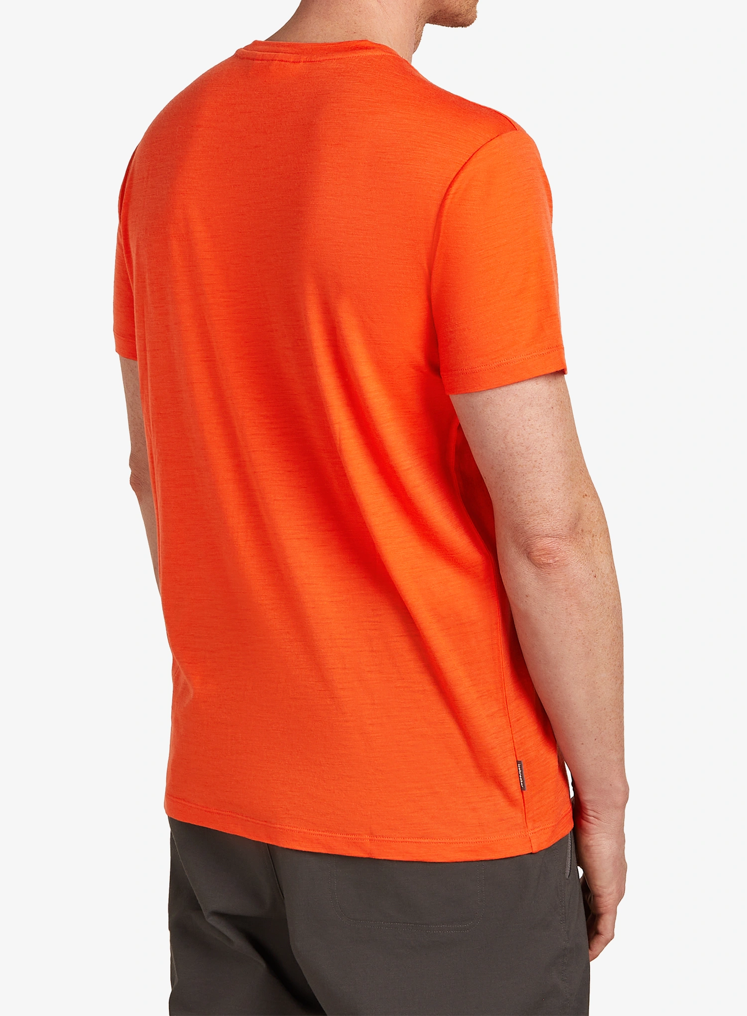 Merinoshirt Icebreaker Merino 150 Tech Lite SS Tee Bear Tour - fervid