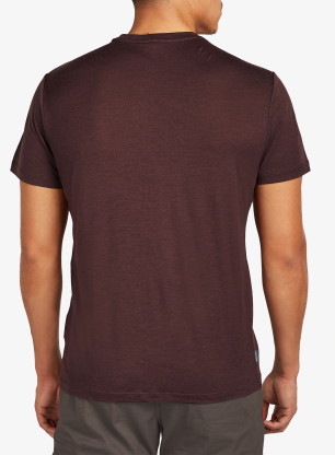 Merinoshirt Icebreaker Merino 150 Tech Lite SS Tee In The Wild - java