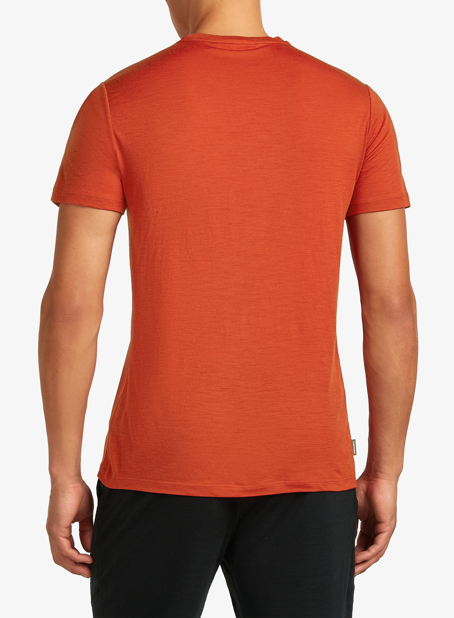 Merinoshirt Icebreaker Merino 150 Tech Lite SS Tee Mountain Pulse - agate