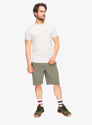 Merinoshirt Icebreaker Merino 150 Tech Lite SS Tee Peaceful Pass - ecru hthr