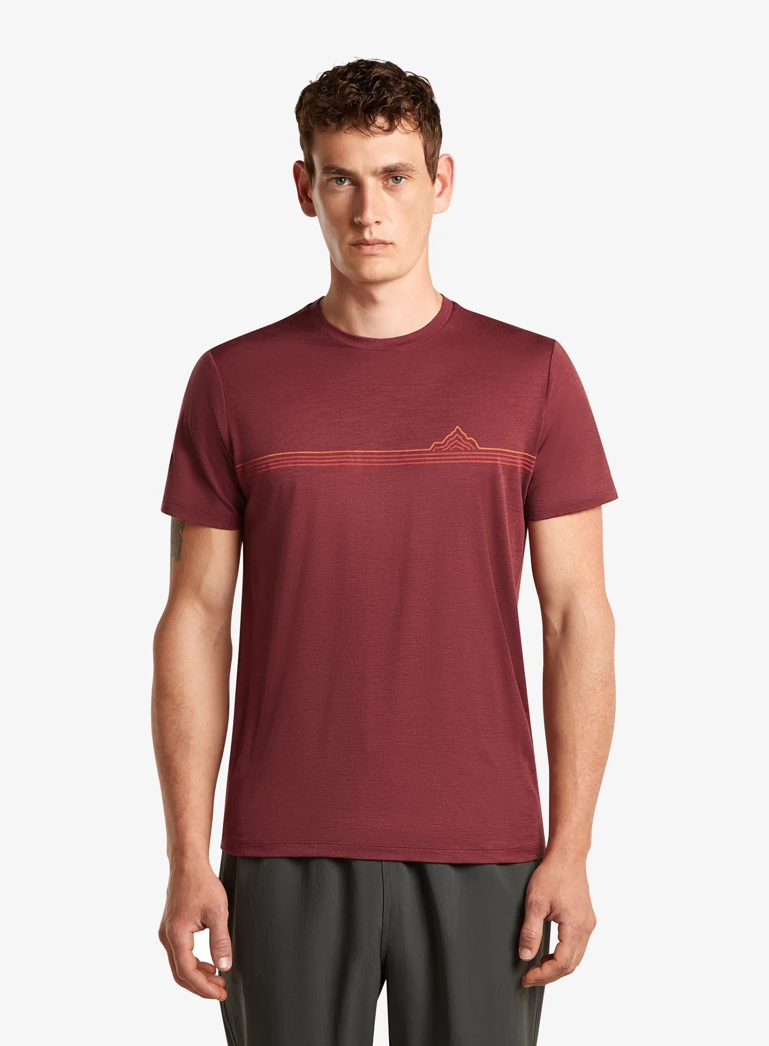 ppp_IcebreakerMerino150TechLiteSSTeeRangeStripes_port_A.webp