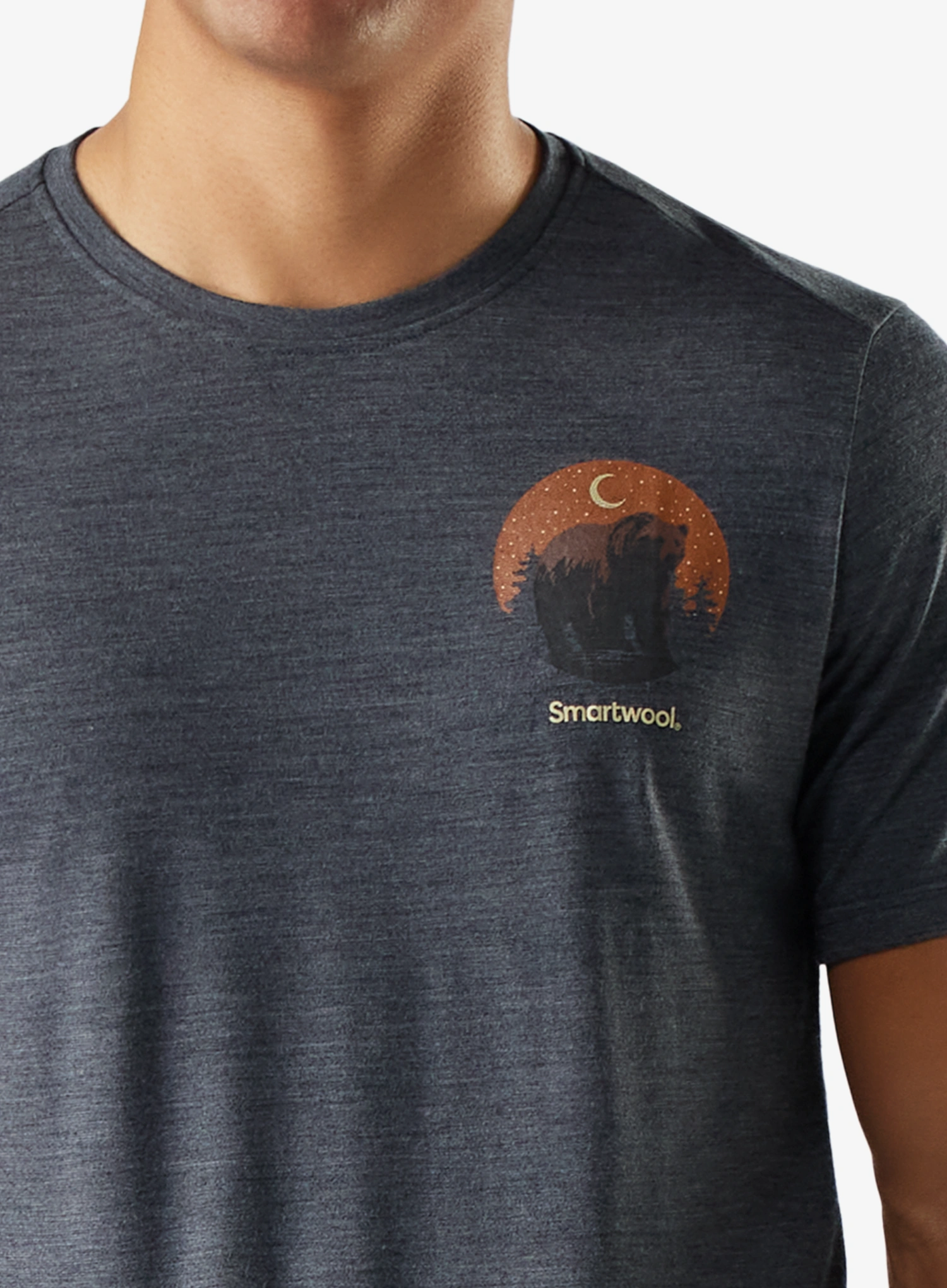 Merinoshirt Smartwool Lunar Bear Active Short Sleeve Graphic Tee - charcoal heather