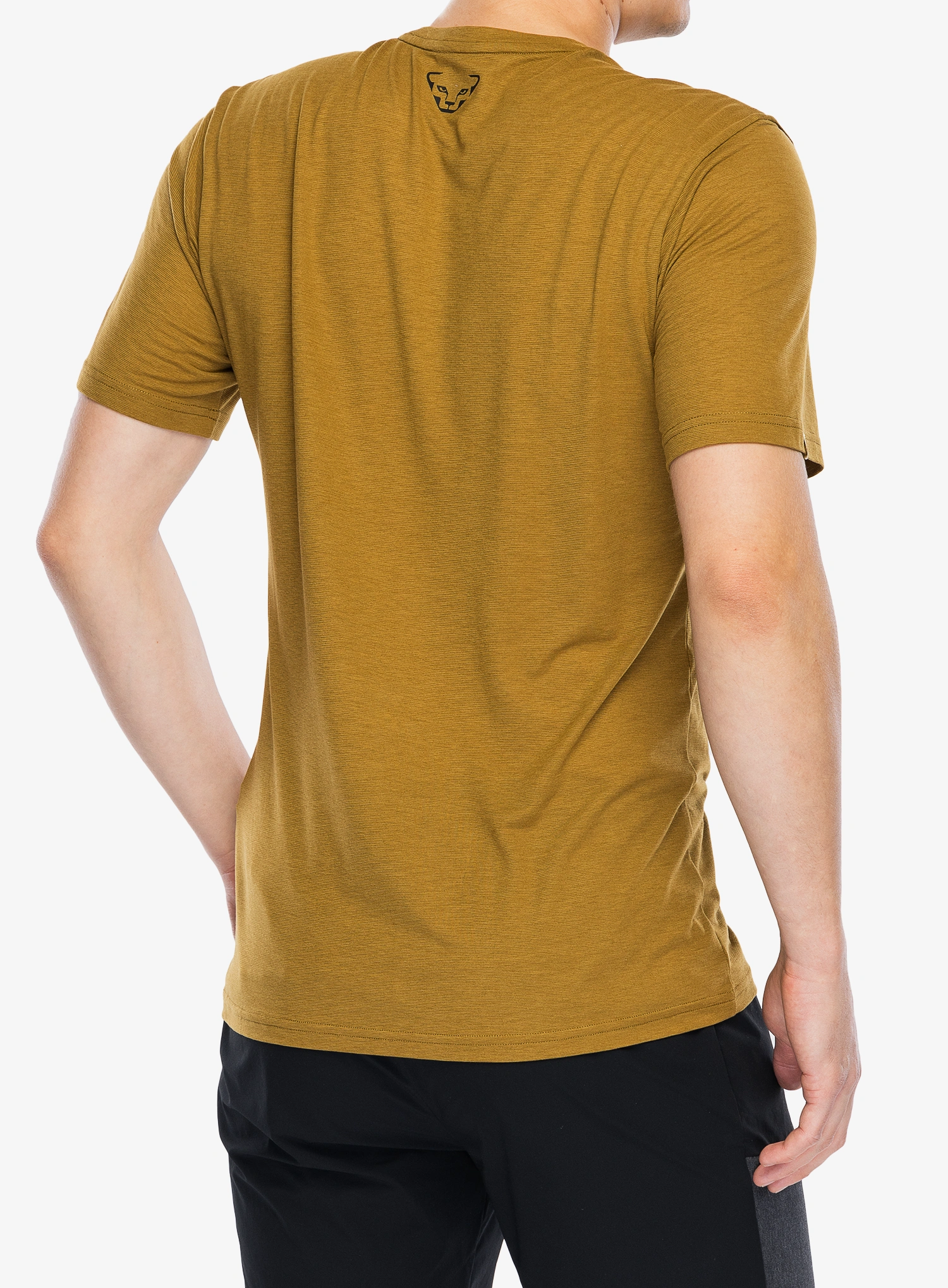 Funktionsshirt Dynafit Transalper Graphic S/S Tee - relic/black out