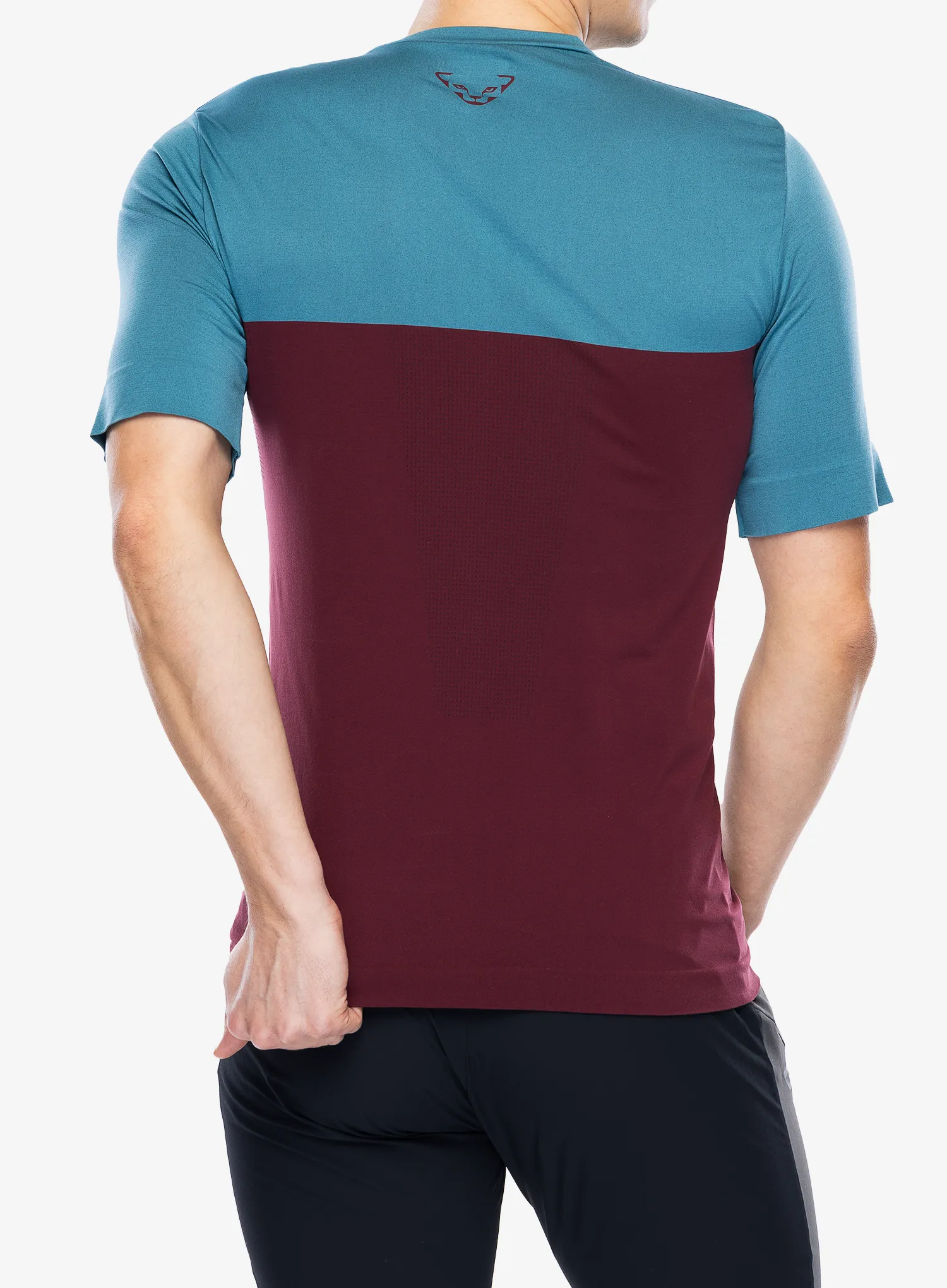 Funktionsshirt Dynafit Traverse S-Tech S/S Tee - burgundy/storm blue