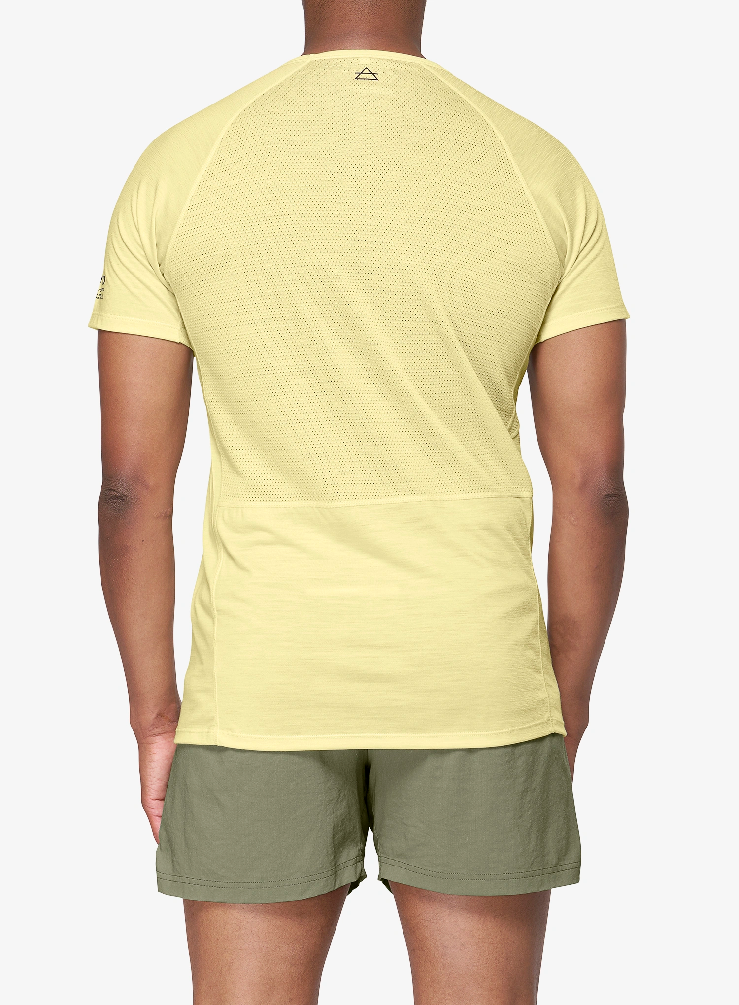 Funktionsshirt Devold Endurance Merino 130 Tee - frozen