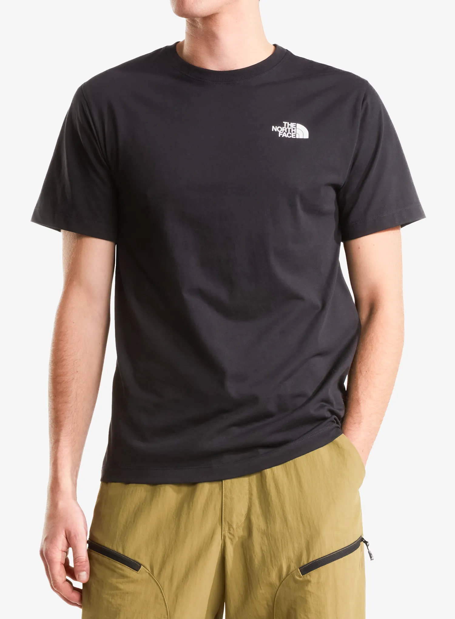 qweTheNorthFaceBoxNSECelebrationRegSSTeetnfblack198266088174a.webp