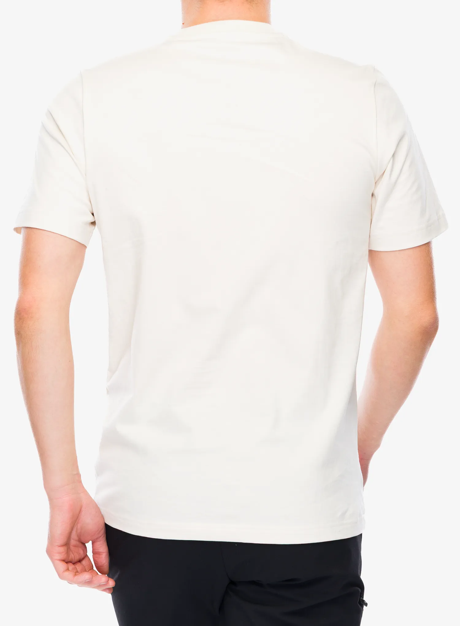 T-Shirt mit Aufdruck adidas TERREX Wild Tee - wonder white