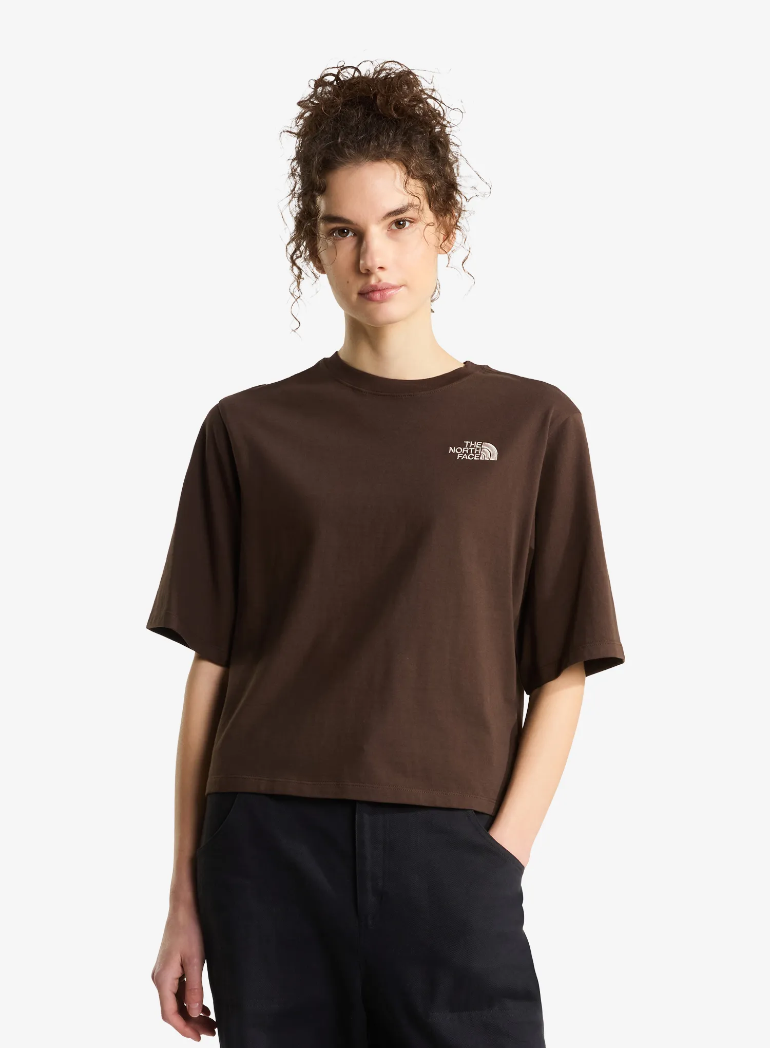TheNorthFaceHikePicnicBoxySsTeeGraphic_darkchestnut_fw26_198269110018_1_385.webp