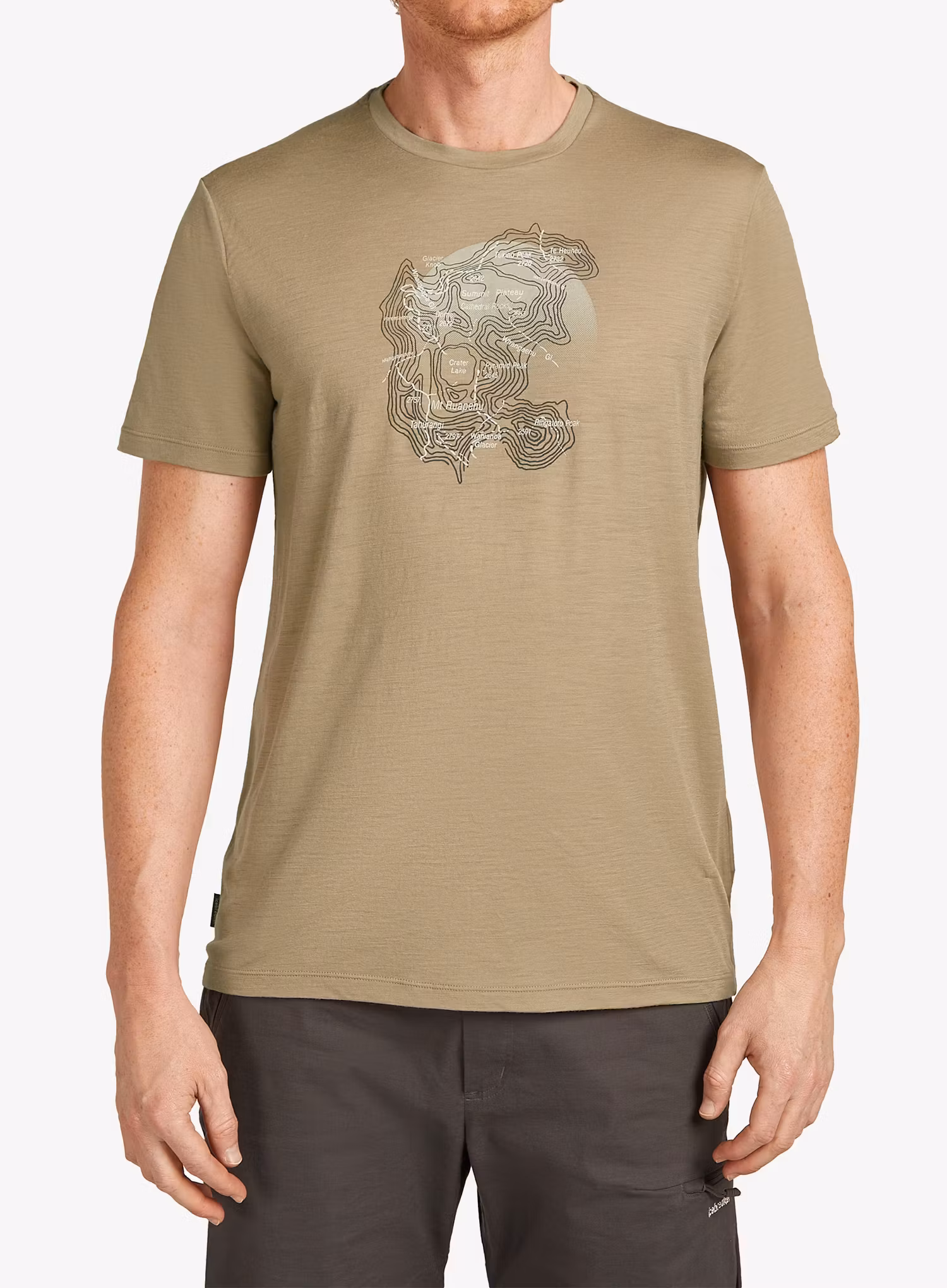 qweIcebreakerMerino150TechLiteSSTeeRuapehuRound_flagstone198265224443a.webp