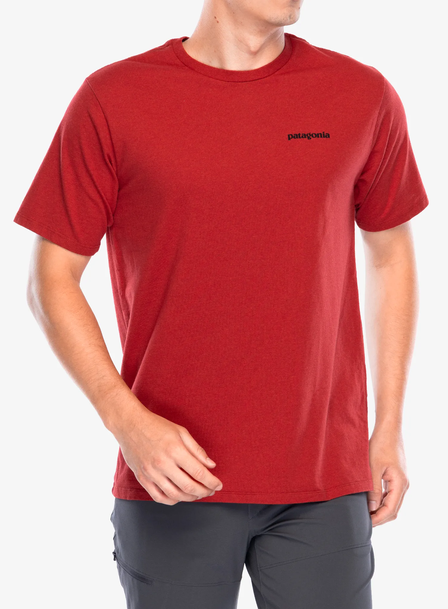 PatagoniaP_6LogoResponsibili_Tee_amanitare198077236771a.webp