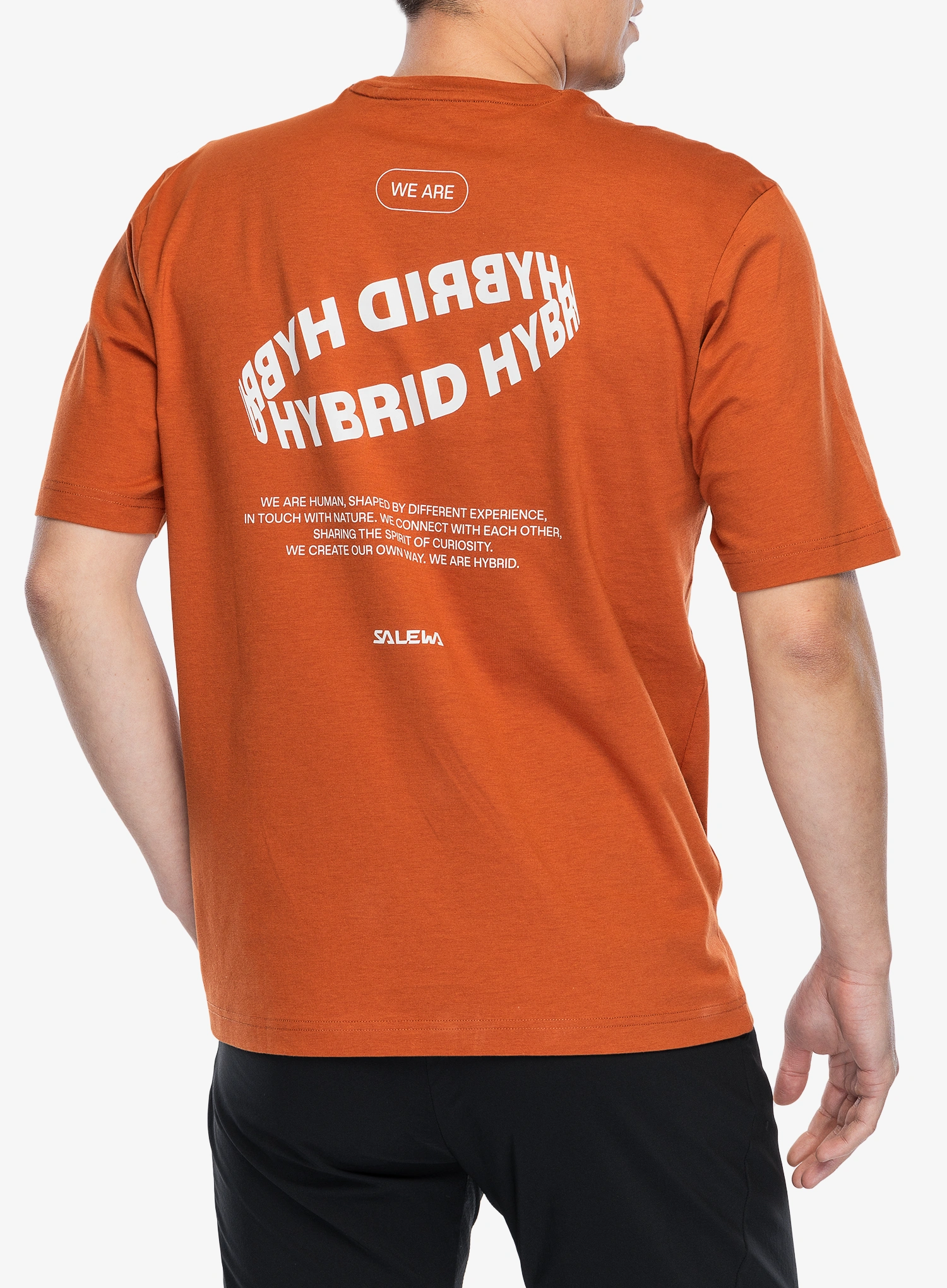 T-Shirt mit Aufdruck Salewa Eagle Hybrid Loose T-Shirt - bombay brown