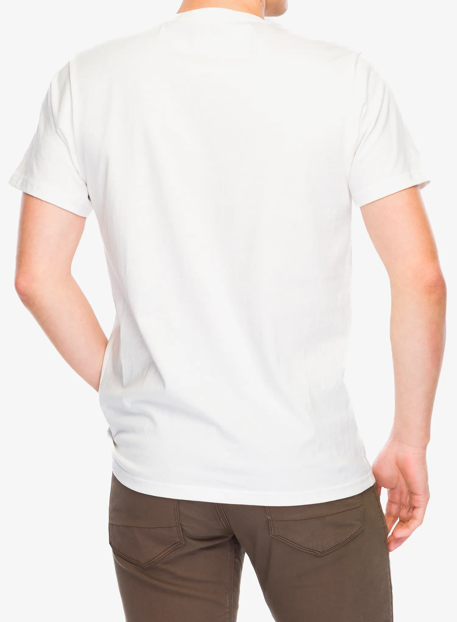 T-Shirt mit Aufdruck Stance Botanica Tee - canvas