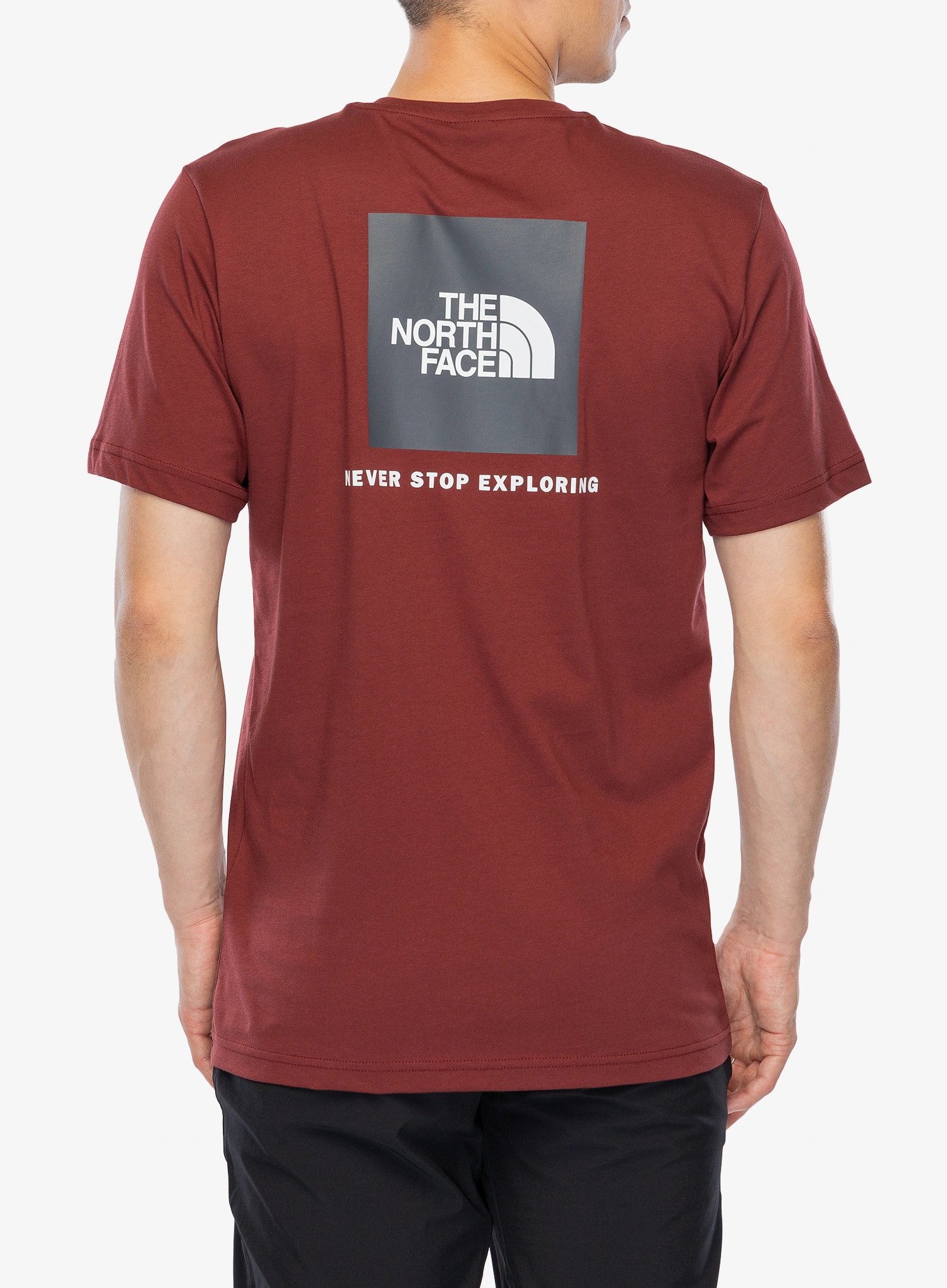T-Shirt mit Aufdruck The North Face S/S Redbox Tee - sumac/asphalt grey