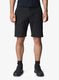 SpodenkiHoudiniGoShorts7322710671923_331.jpg