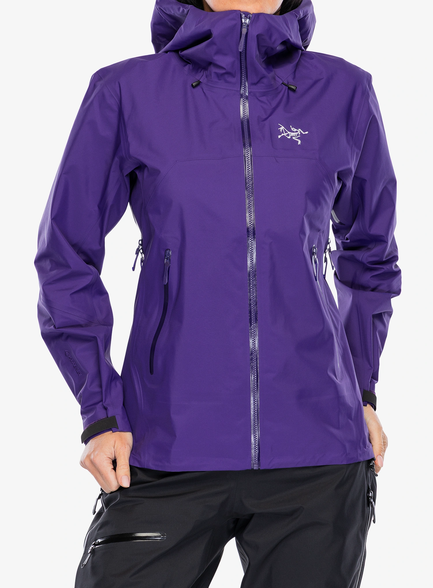 ArcteryxBetaSLJacket_azalea_921.webp