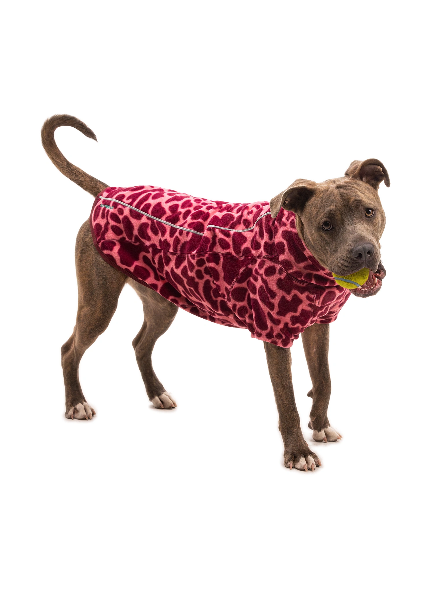 Hundemäntel Ruffwear Climate Changer Fleece Jacket - berry lava
