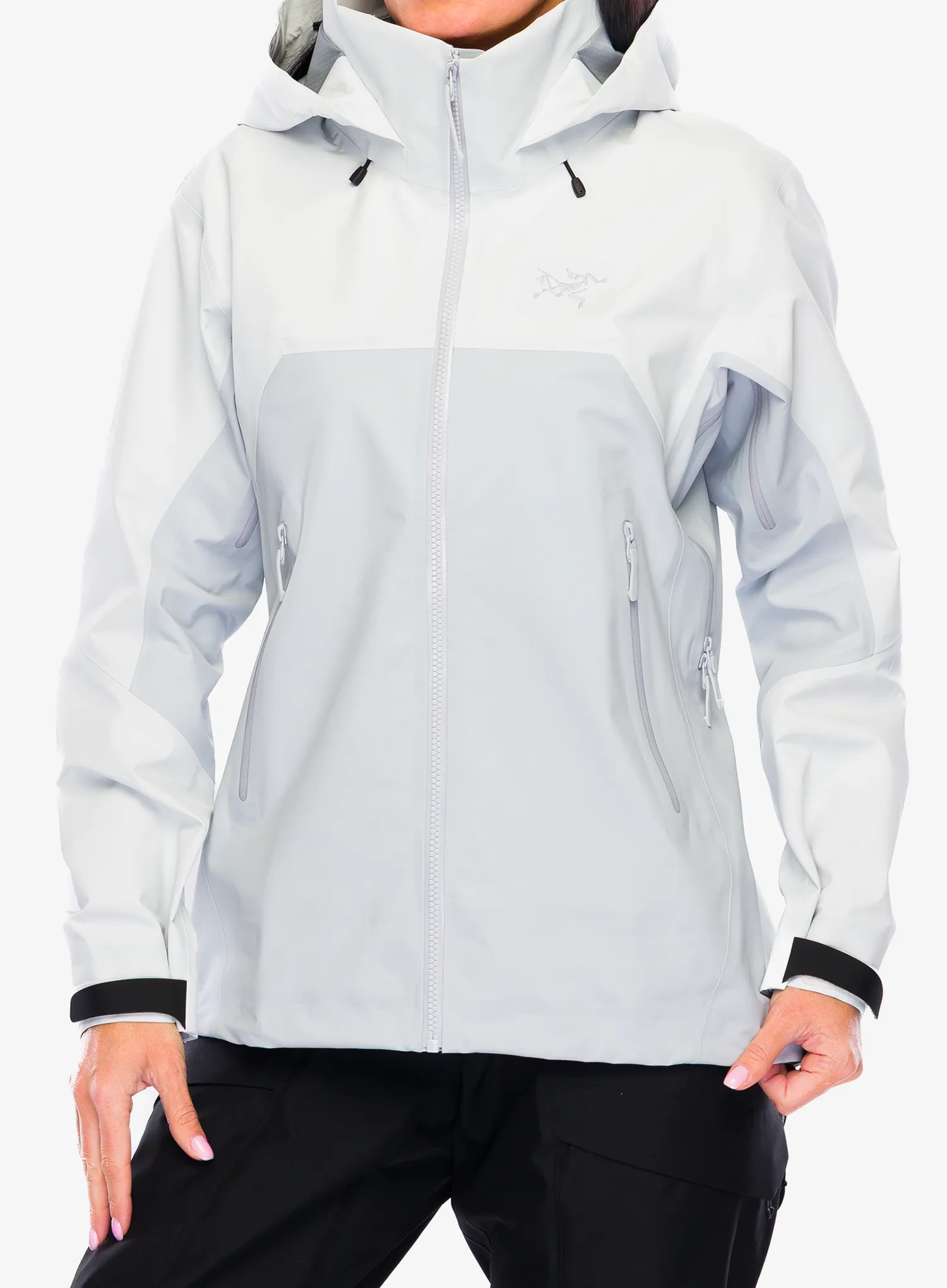 ArcteryxBetaARJacket_arcticsilksolitud623555682738a.webp