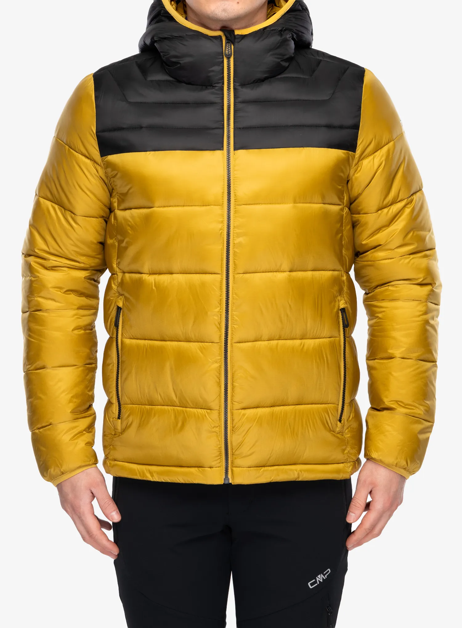 zxcCMPQuorro_goldgreen8050243708425a.webp