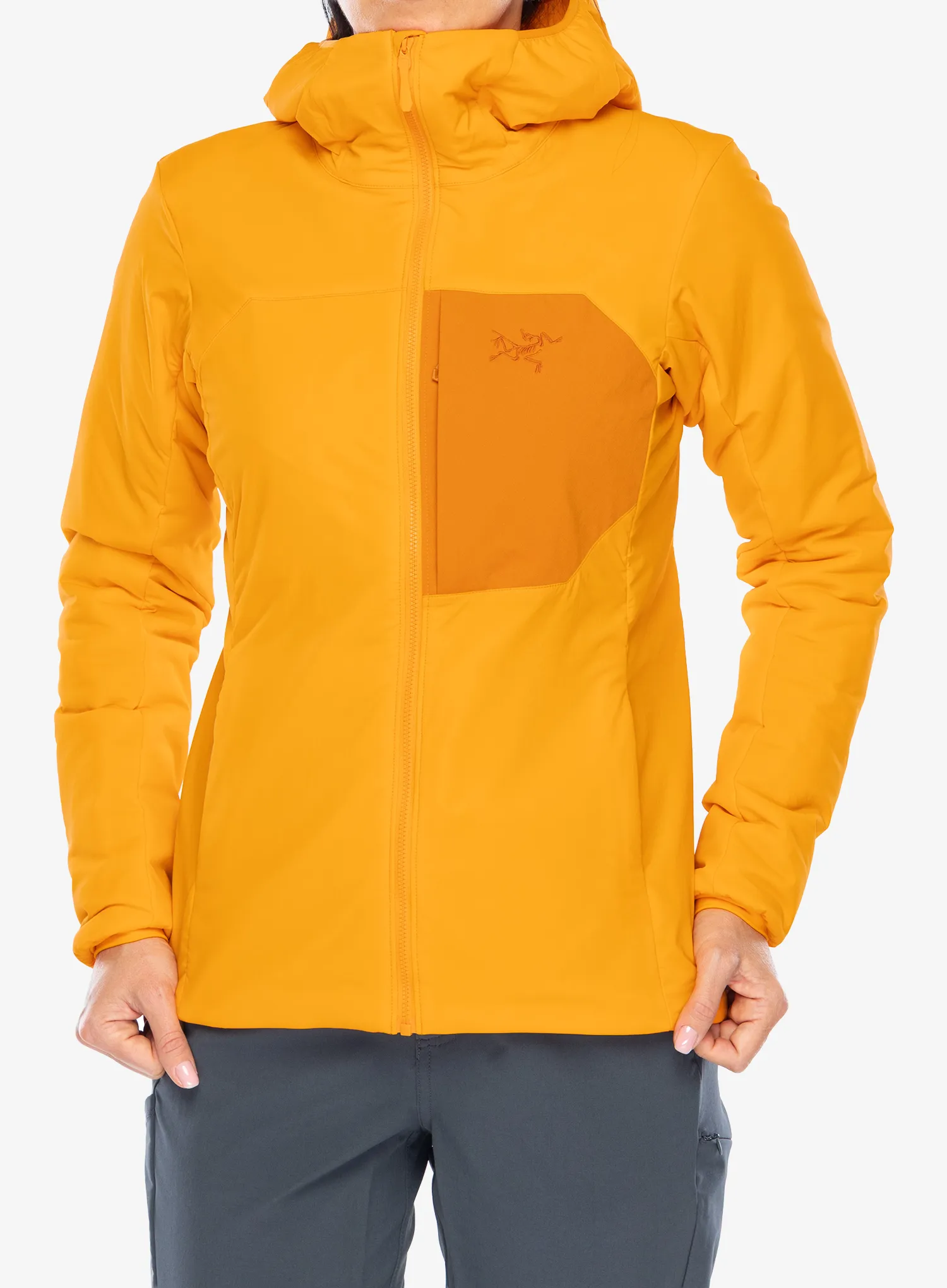 ArcteryxProtonHoody_blaze623555735311a.webp