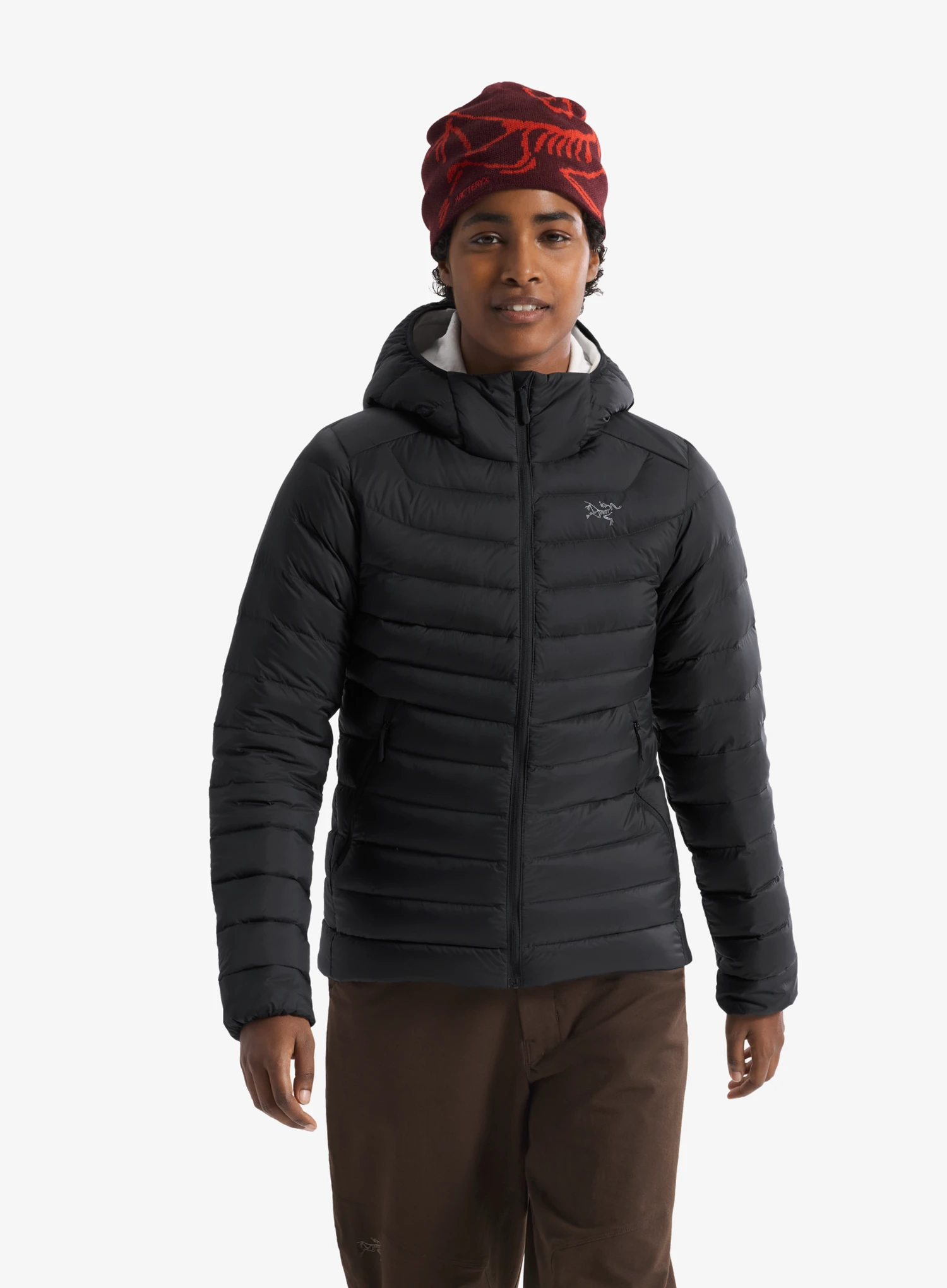 ArcteryxCeriumHoody_black623555783619a.webp