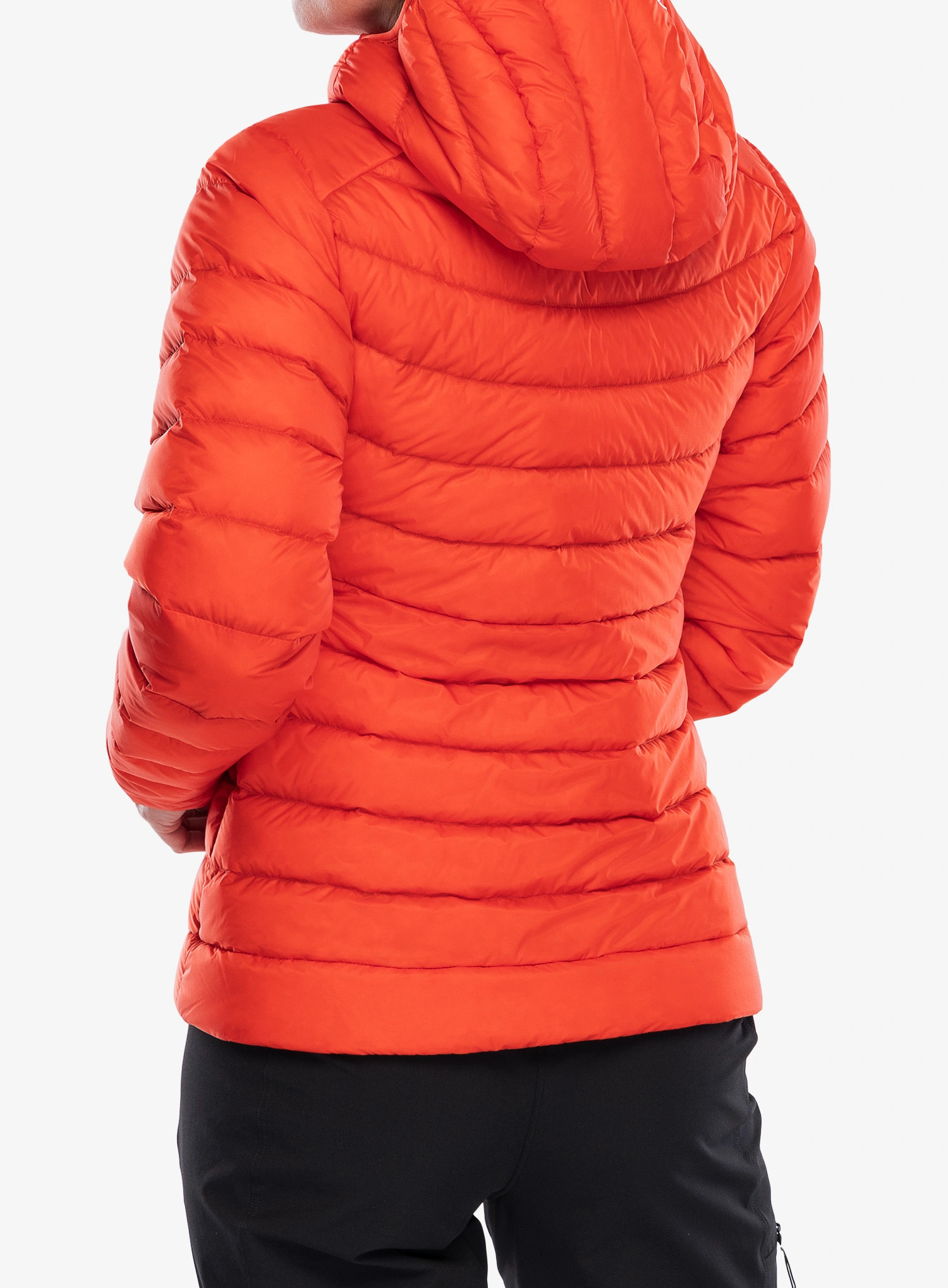 Daunenjacke Damen Arcteryx Cerium Hoody - dynast/dynast
