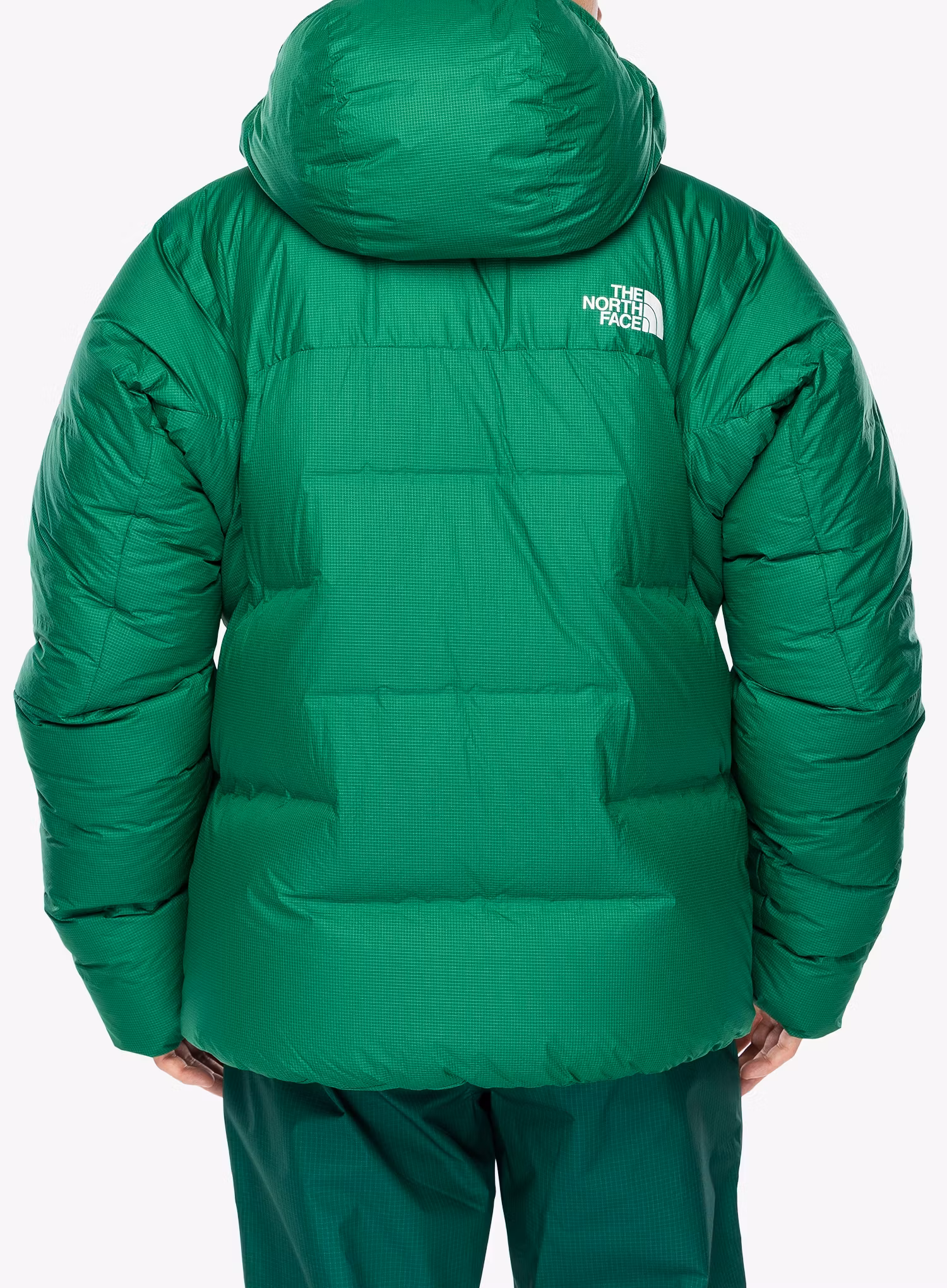 Daunenjacke The North Face Summit Cloud Down AMK Parka - cordillera green