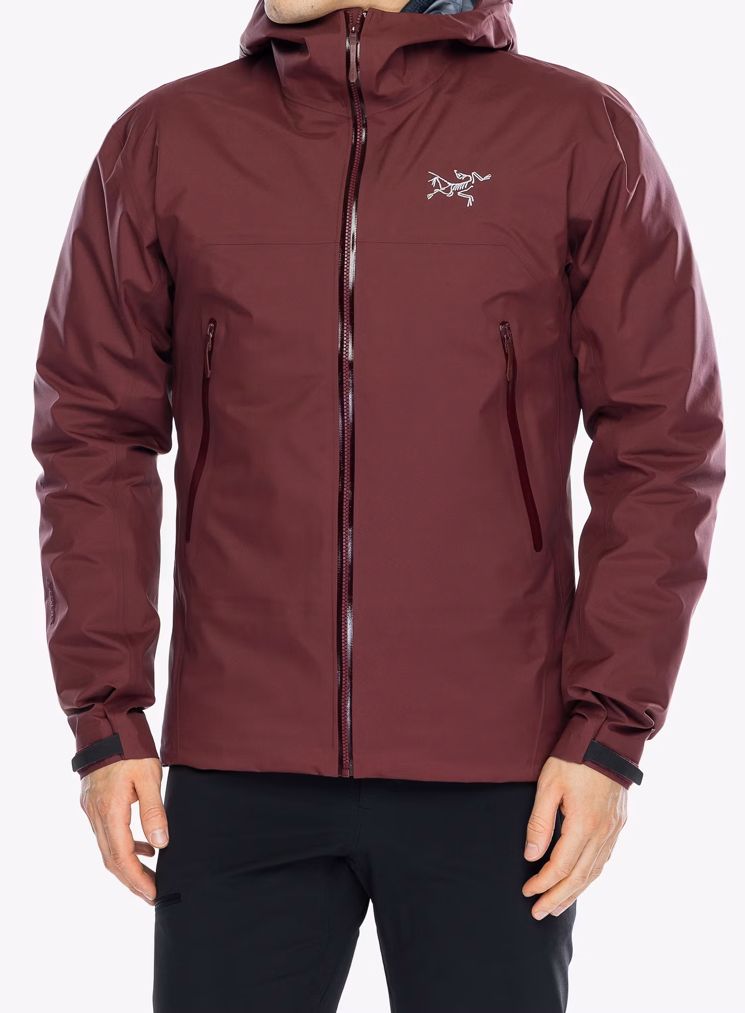 ArcteryxBetaJacket_marsmars623555780892a.webp