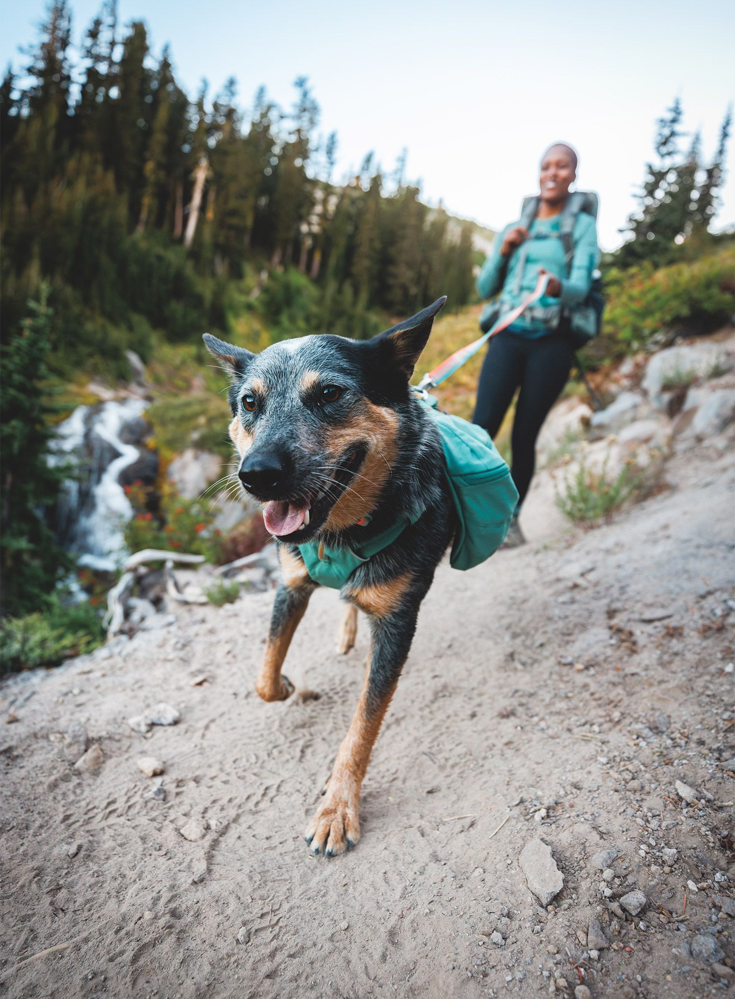 Hunderucksack Ruffwear Front Range Day Pack - river rock green