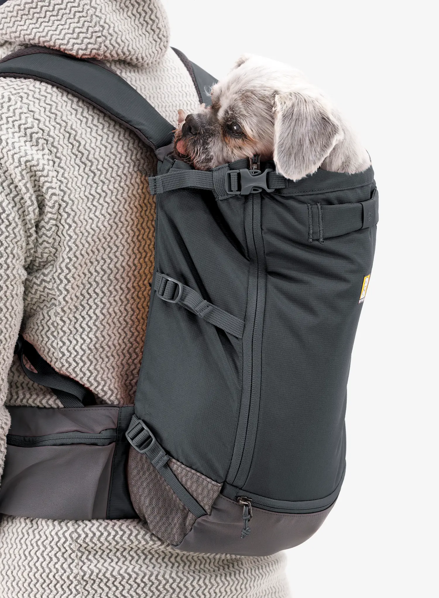 Hunderucksack Ruffwear Hitch Hiker Dog Backpack Carrier - basalt gray