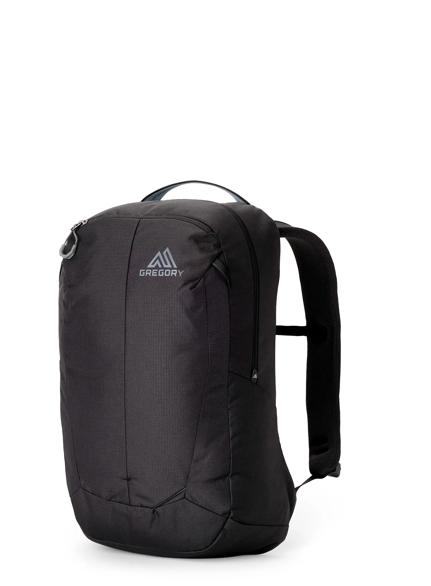 Tagesrucksack Gregory Retna 20 - carbon sky