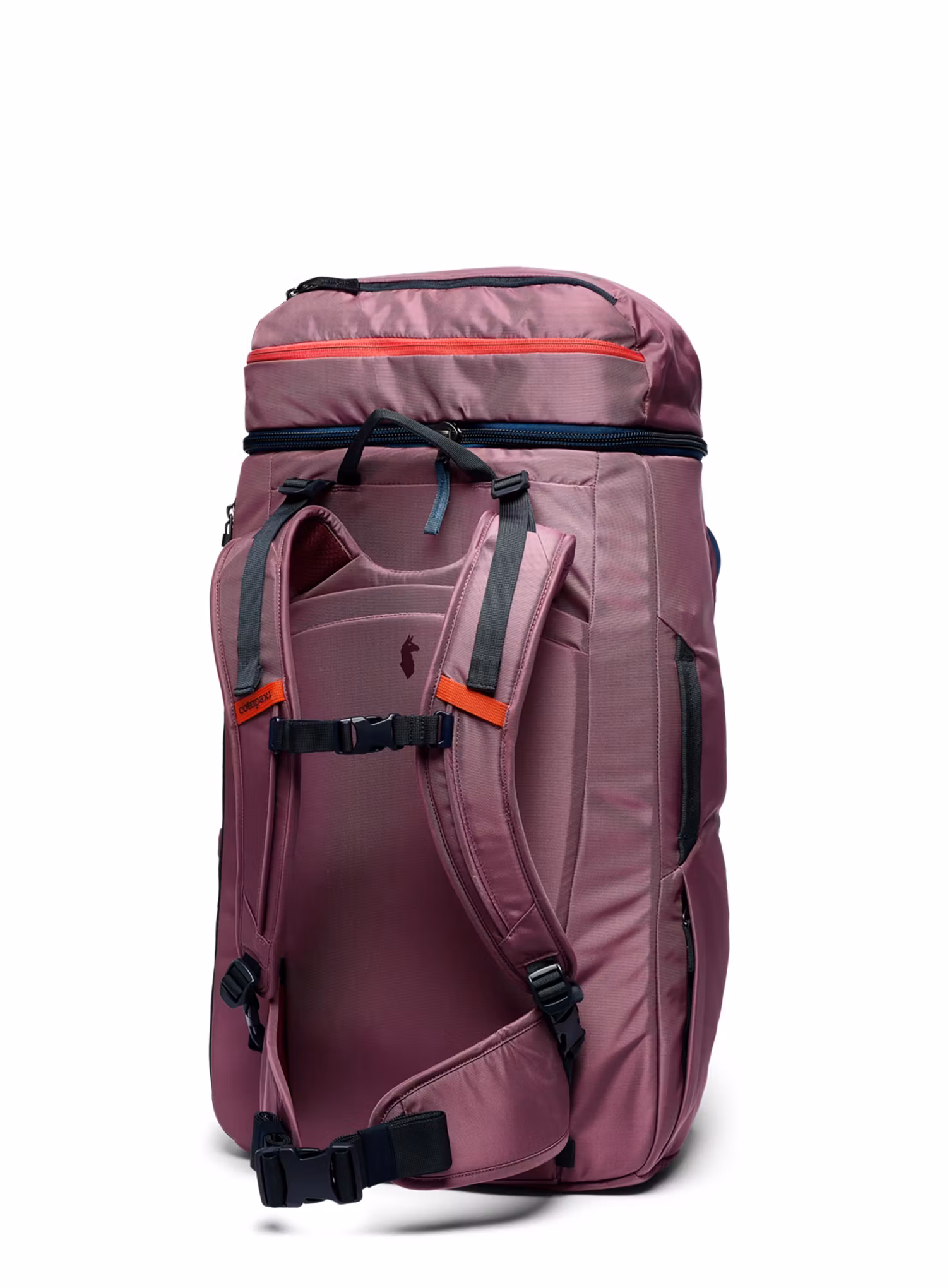 Reiserucksack Cotopaxi Allpa 50L Adventure Travel Pack - fig