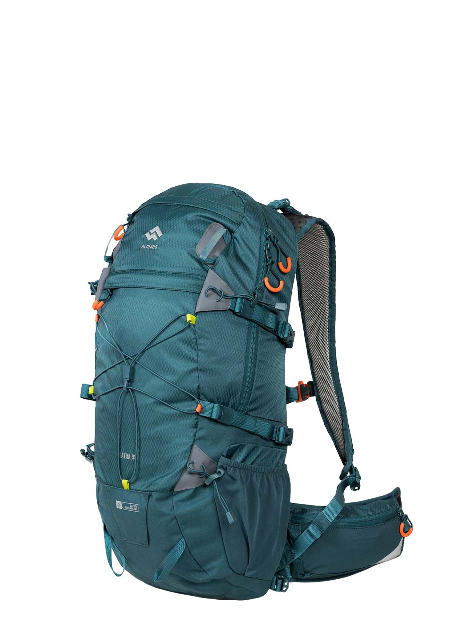 qweAlpinusFatra30green5905616111032a.webp