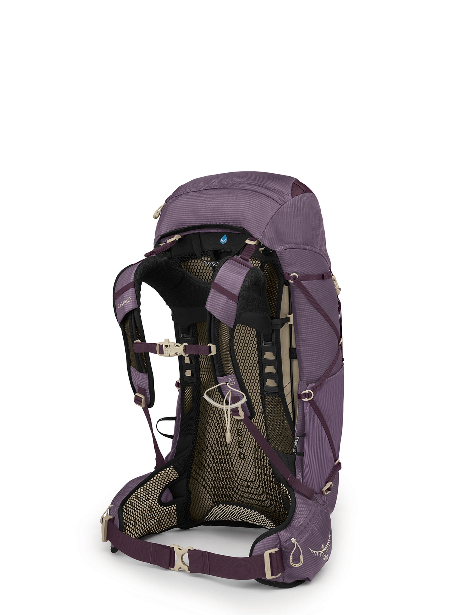 Wanderrucksack Damen Osprey Eja 38 - purple dusk