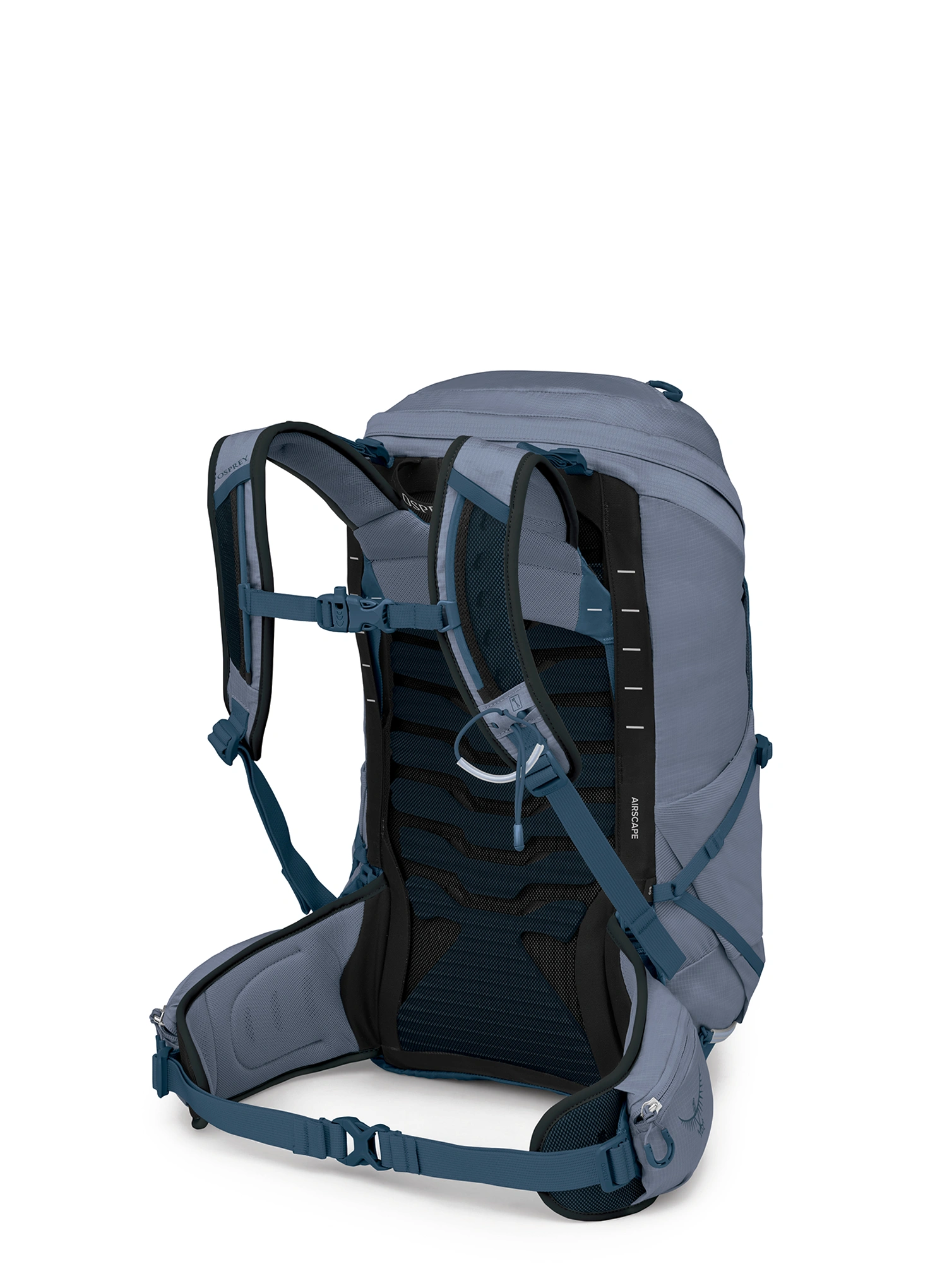 Wanderrucksack Damen Osprey Tempest 26 - anchor blue atlas