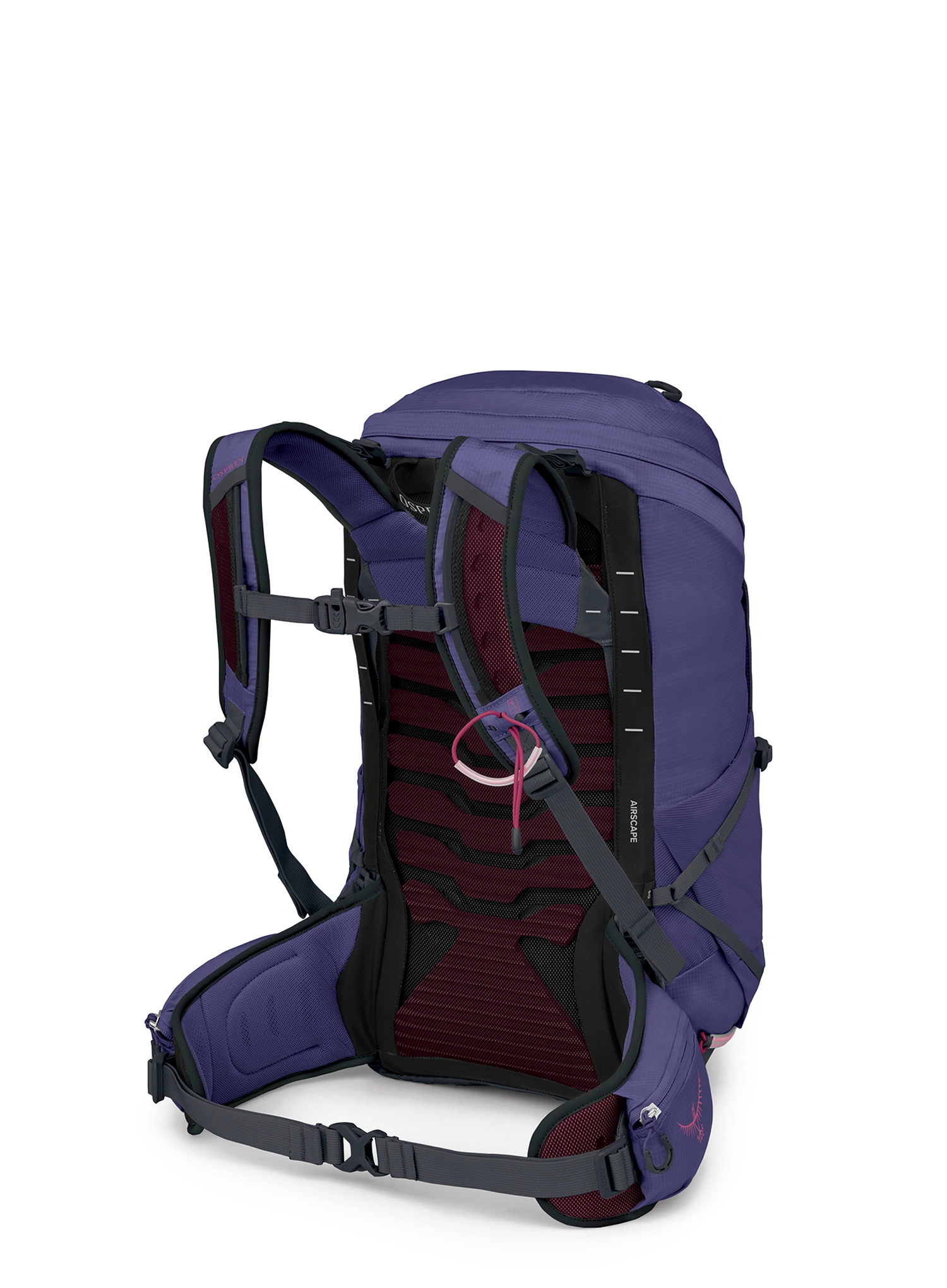 Wanderrucksack Damen Osprey Tempest 26 - deep fig hotspot pink