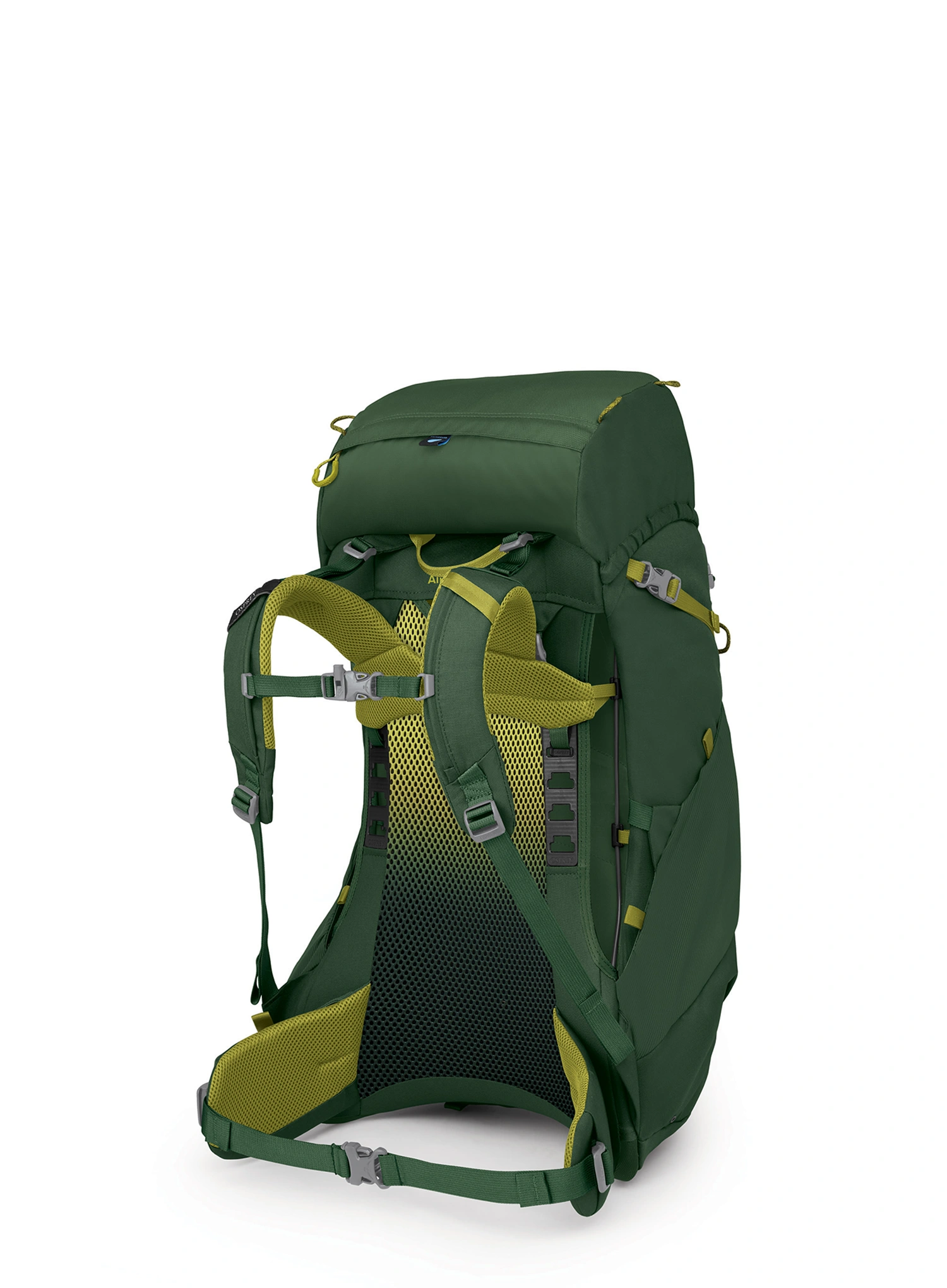 Wanderrucksack Kinder Osprey Ace 38 - green canopy