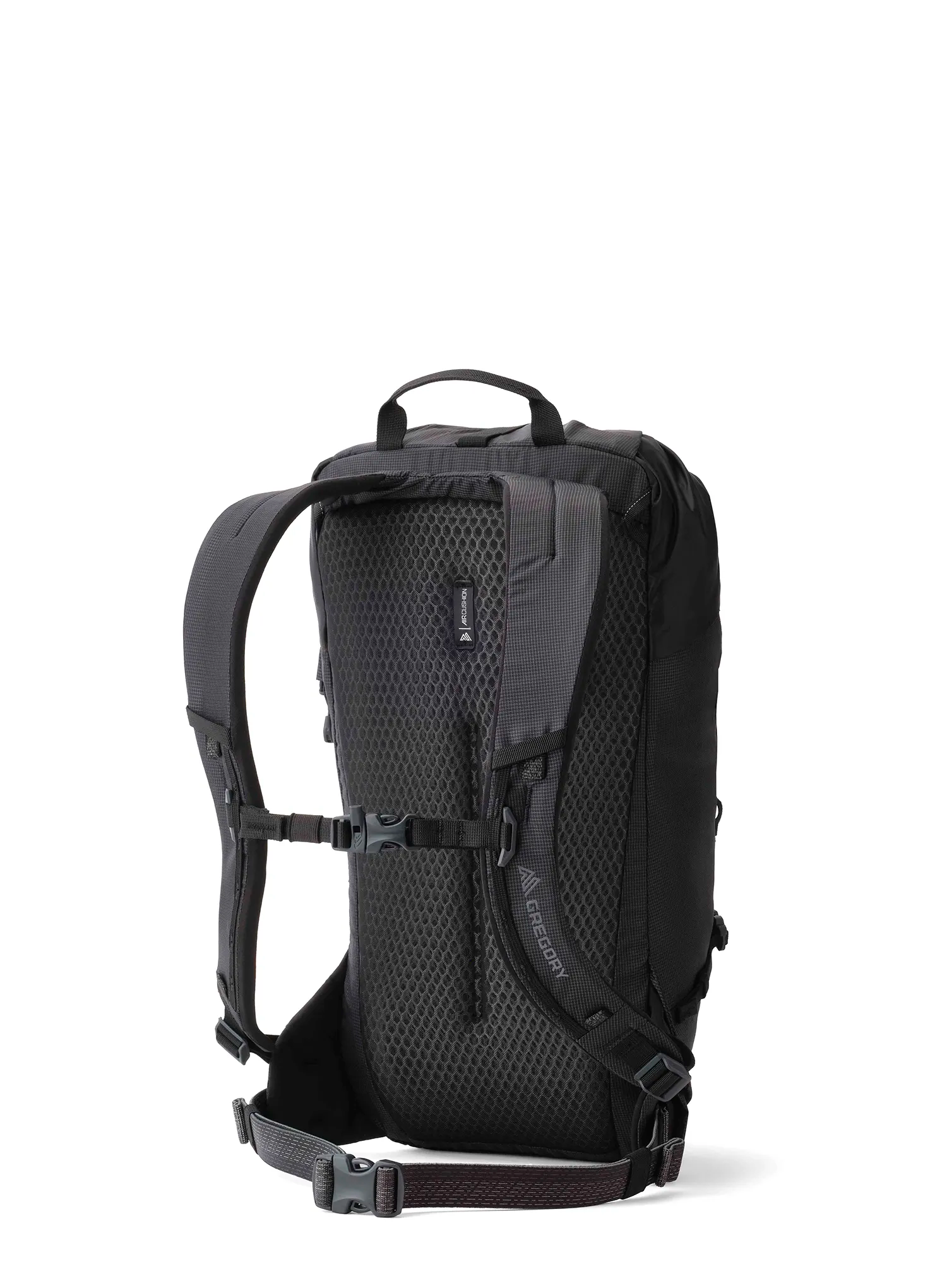 Wanderrucksack Gregory Alpinisto 20 - summit black