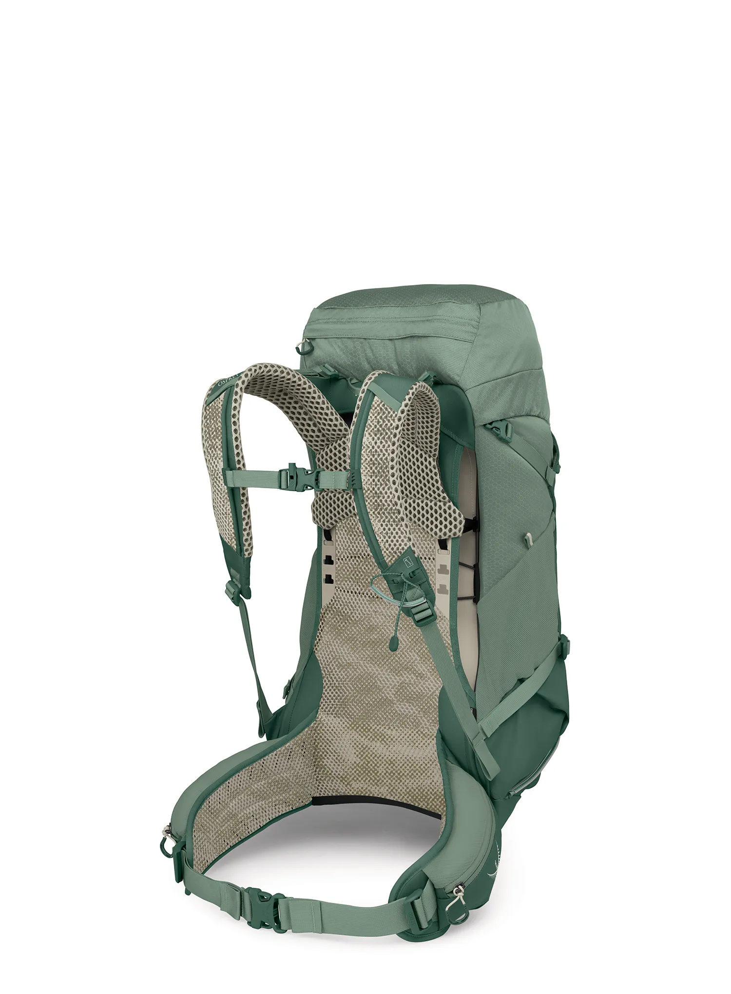 Wanderrucksack Osprey Stratos 36 - pine leaf green