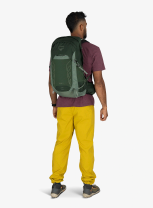 Wanderrucksack Osprey Talon 22 - green canopy pine leaf