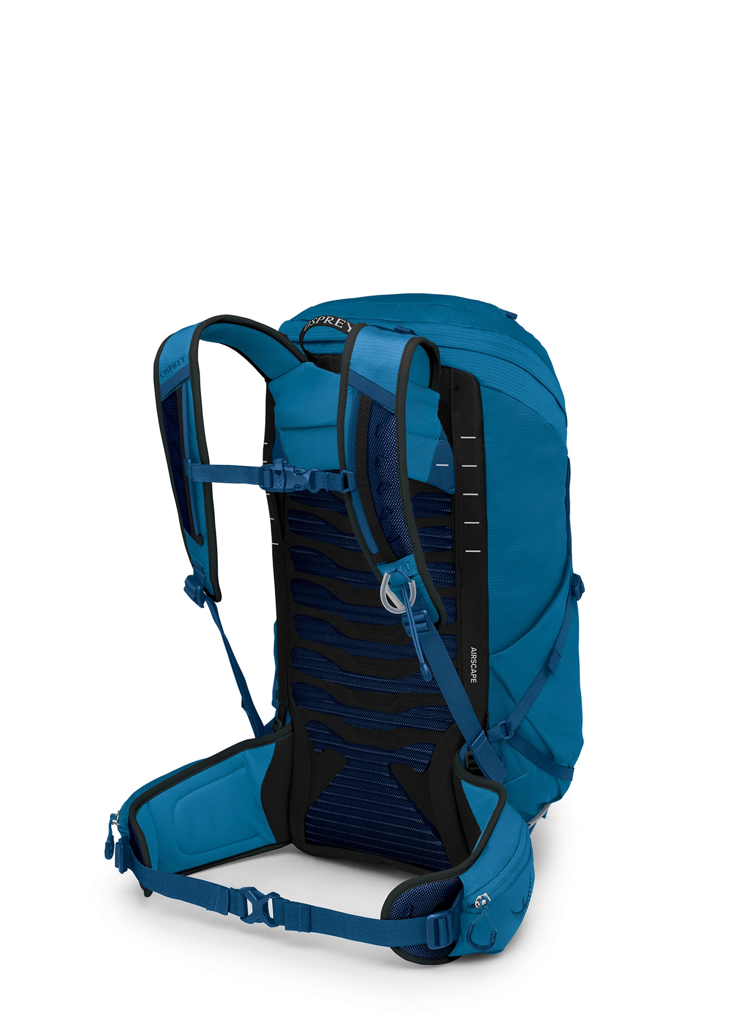 Wanderrucksack Osprey Talon 26 - scoria blue night shift