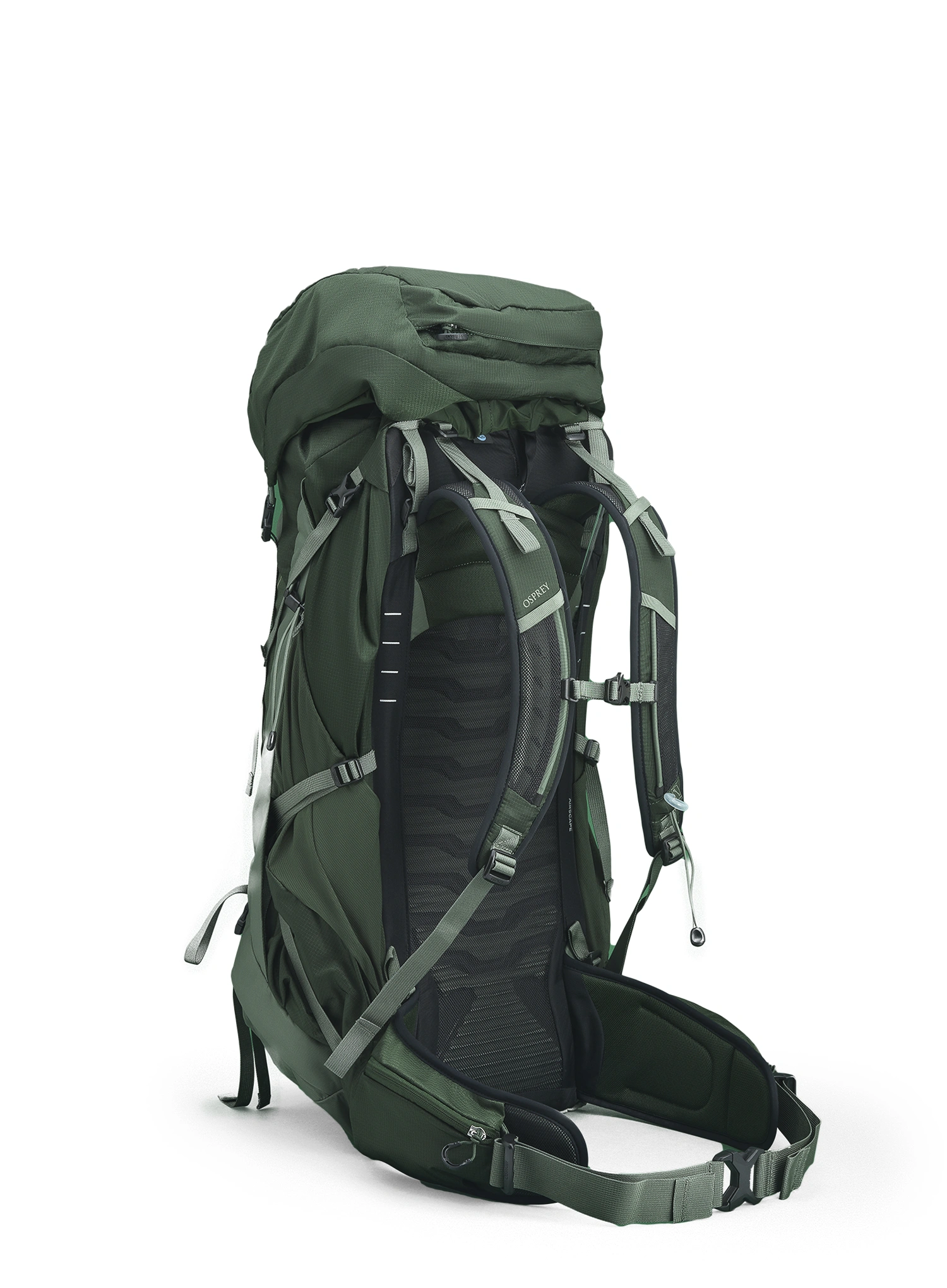 Wanderrucksack Osprey Talon 44 - green canopy pine leaf