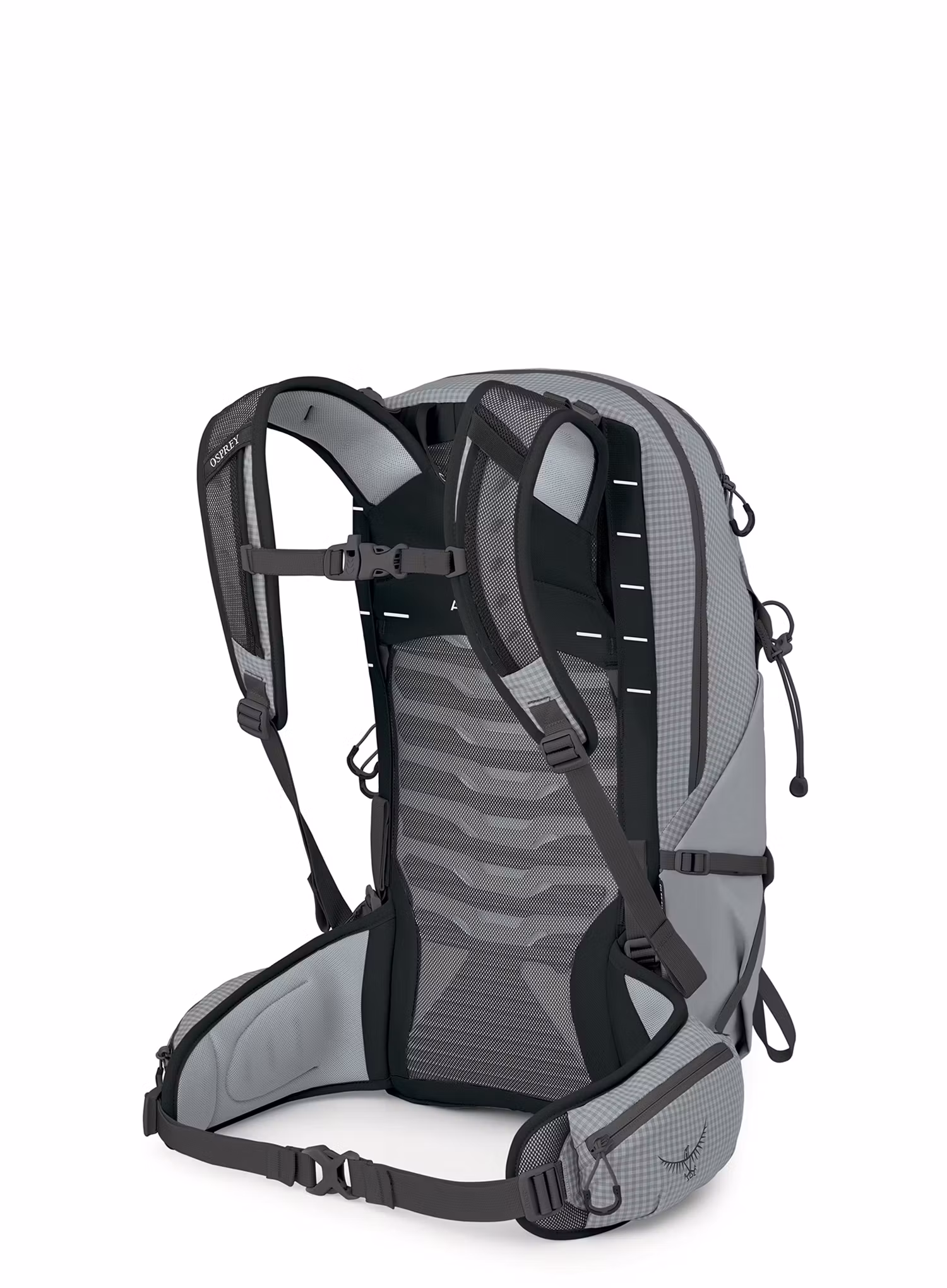 Wanderrucksack Osprey Talon Pro 20 - silver lining
