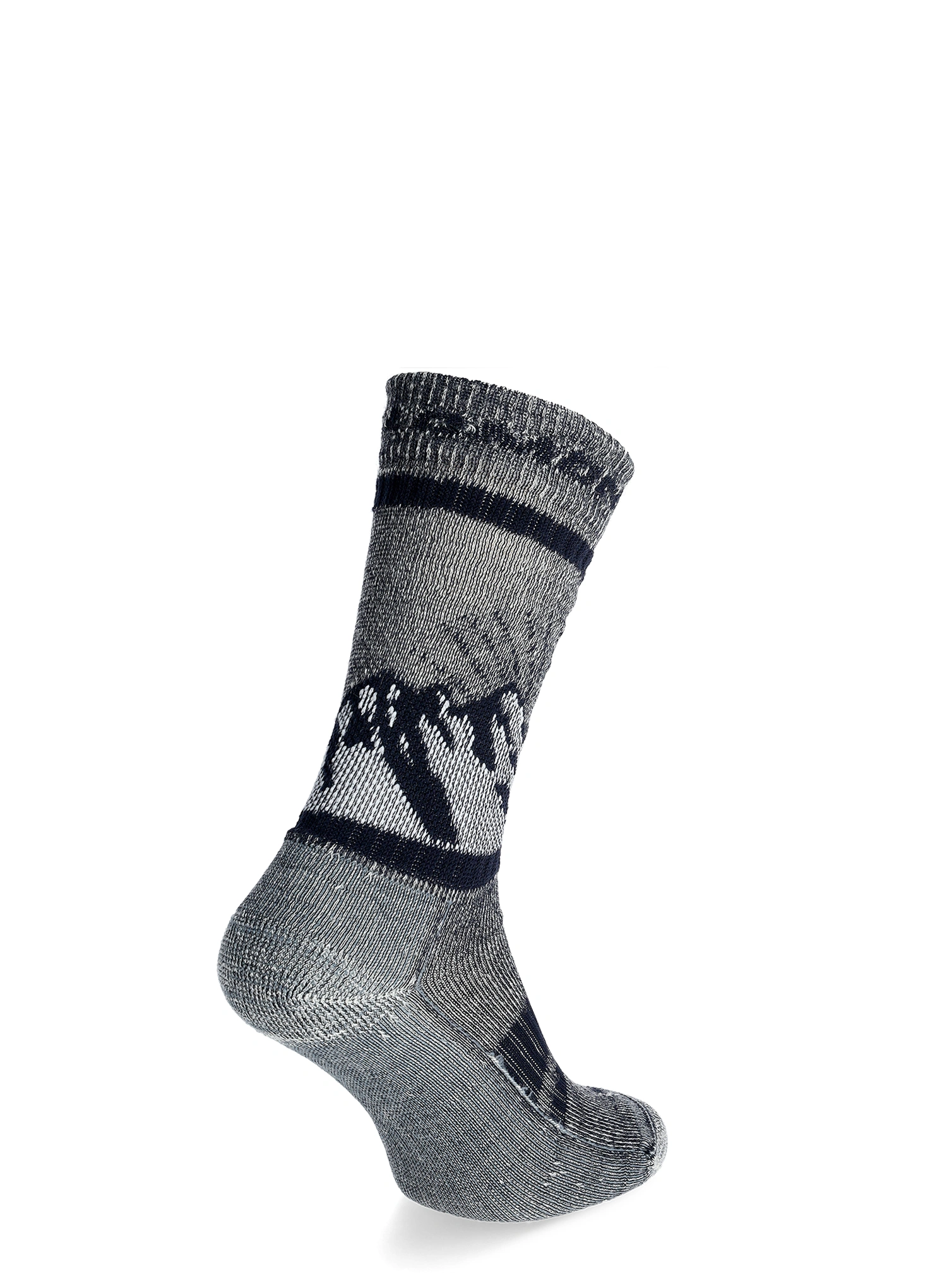 Outdoorsocken Salomon Retro Wool - carbon/trooper