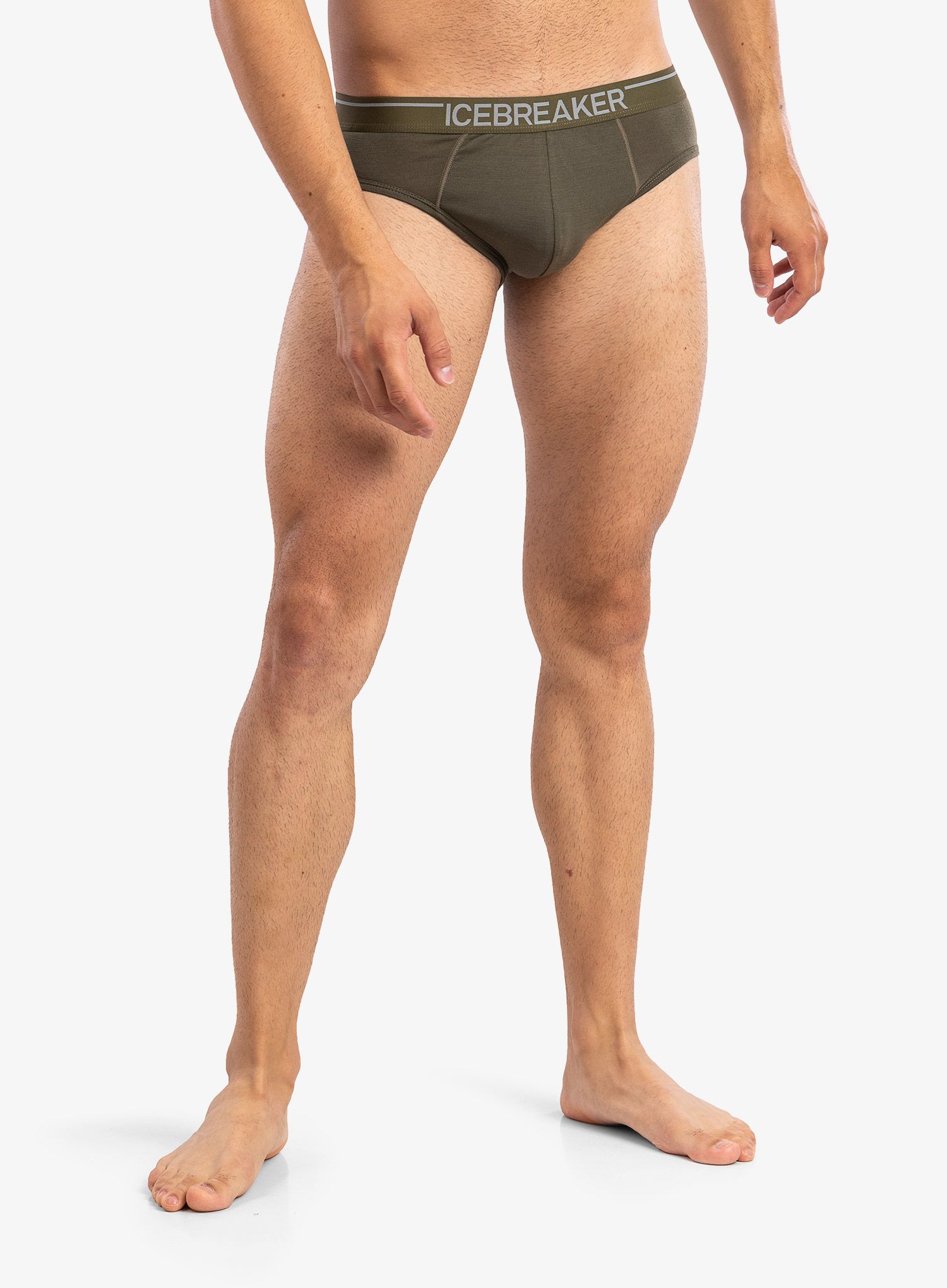 Herrenslips Icebreaker Anatomica Briefs - loden