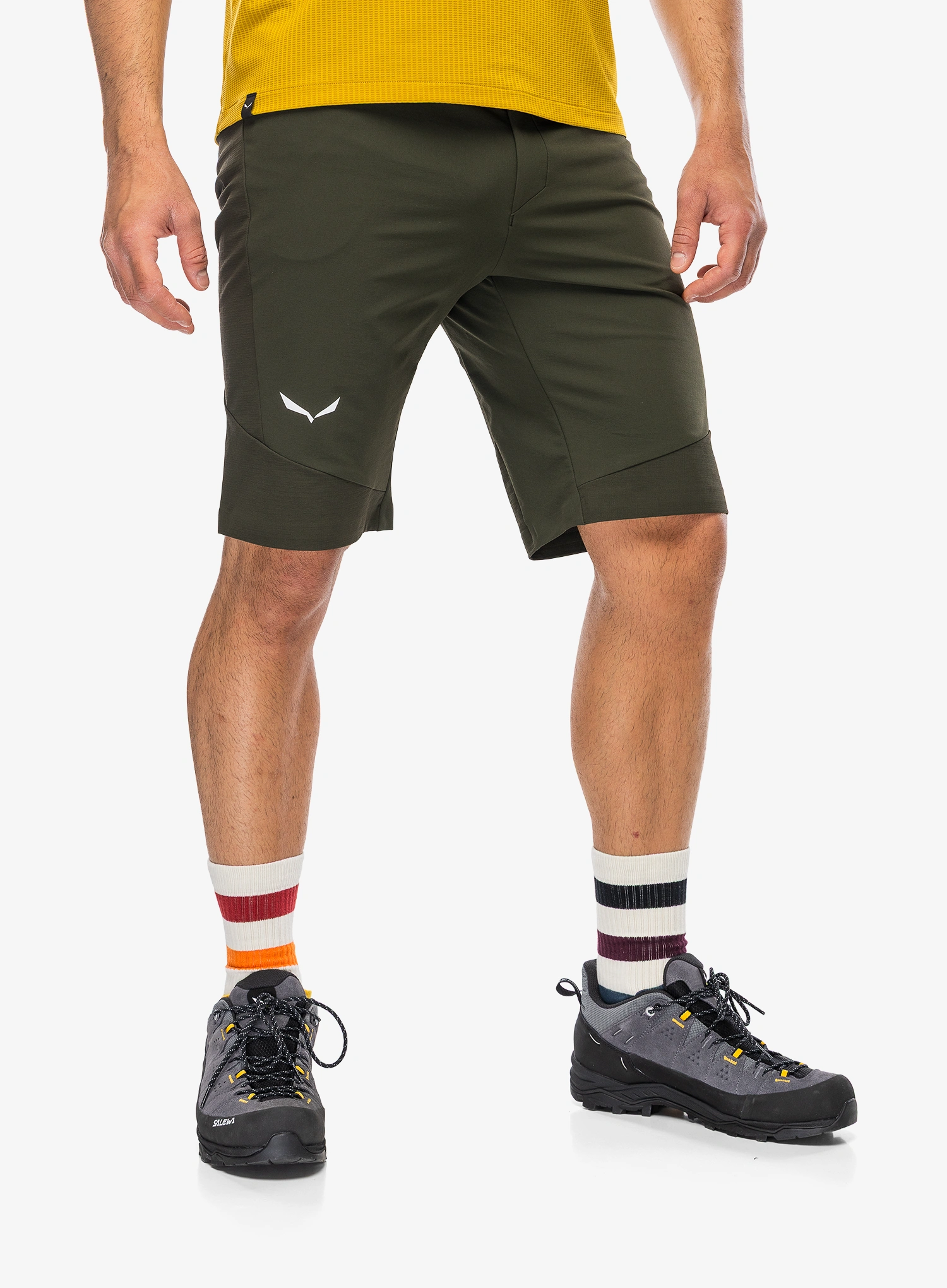 SalewaAgnerDstShortsdarkolive4053866744485a.webp