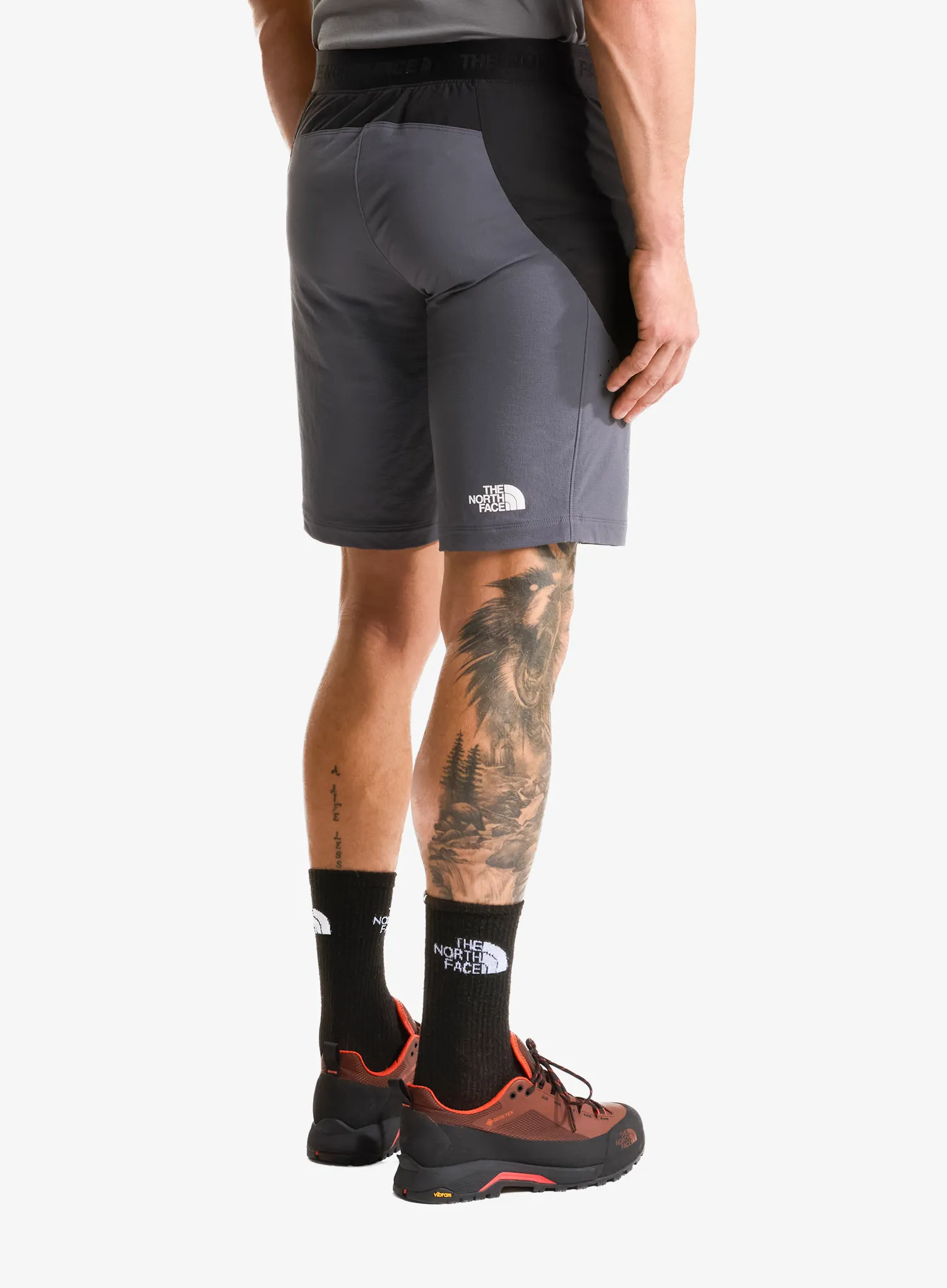Klettershorts The North Face Circadian Alpine Short - black/grey
